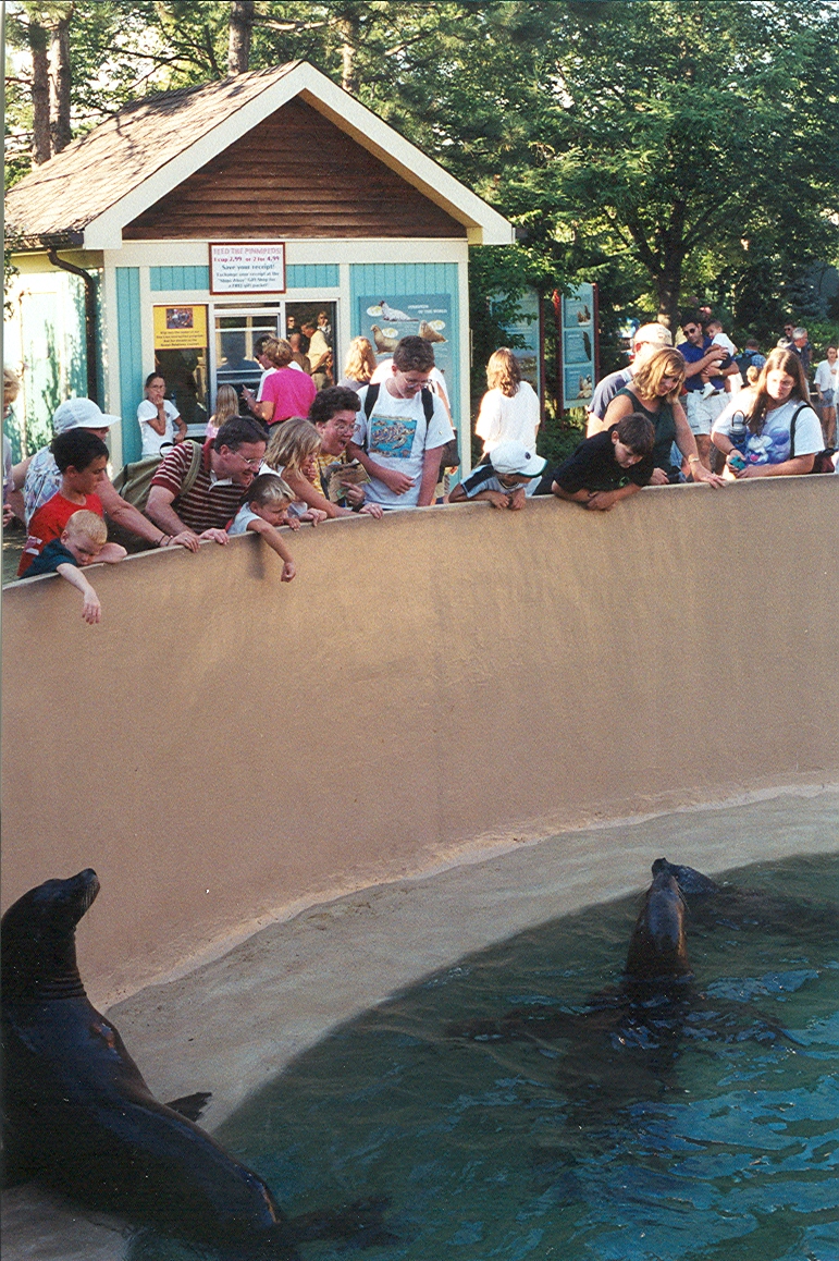 Sea World Ohio - 1999: Seal/Sea Lion Pool