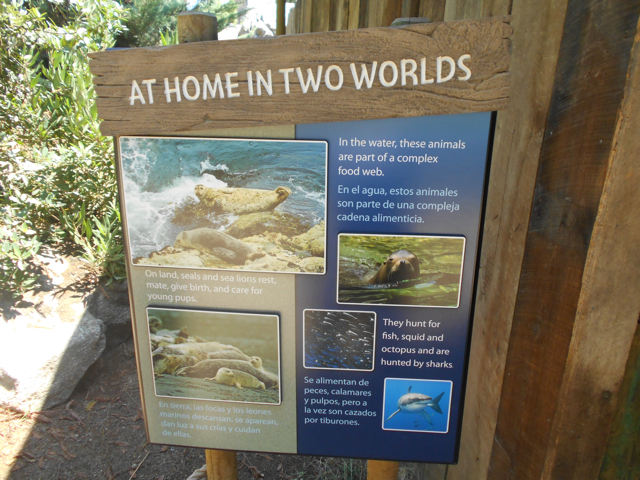 sea_lion_land_sea_sign