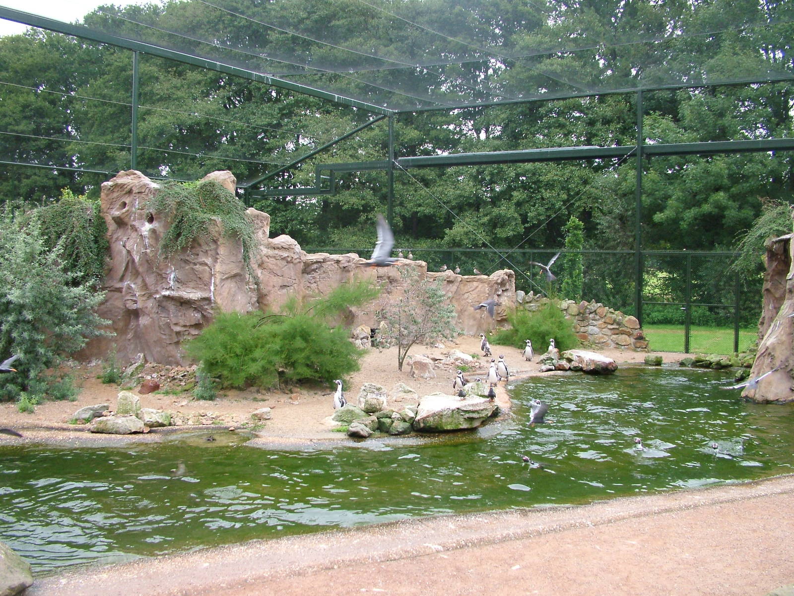 Seabird Aviary at NaturZoo Rheine 2007
