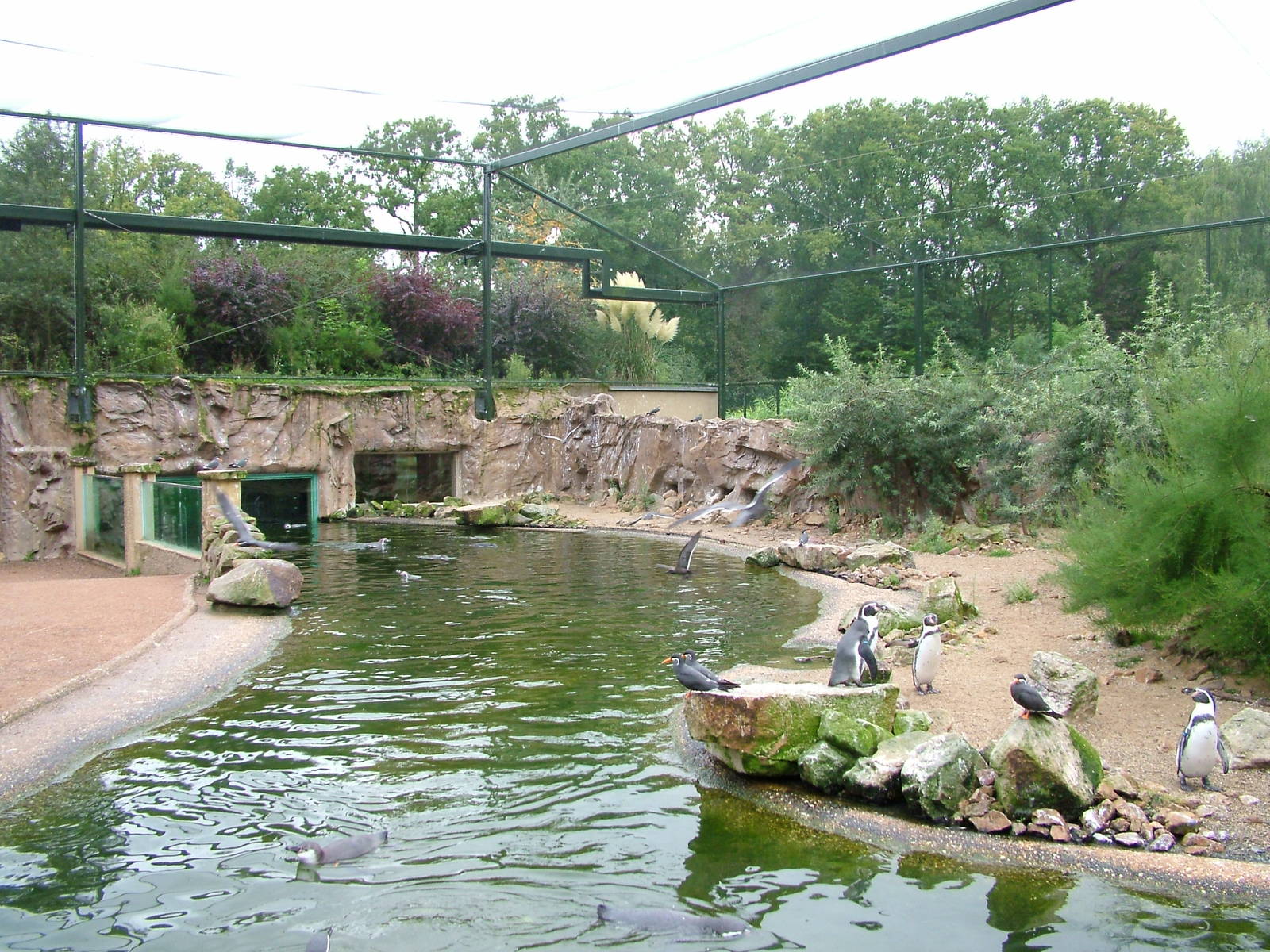 Seabird Aviary at NaturZoo Rheine 2007