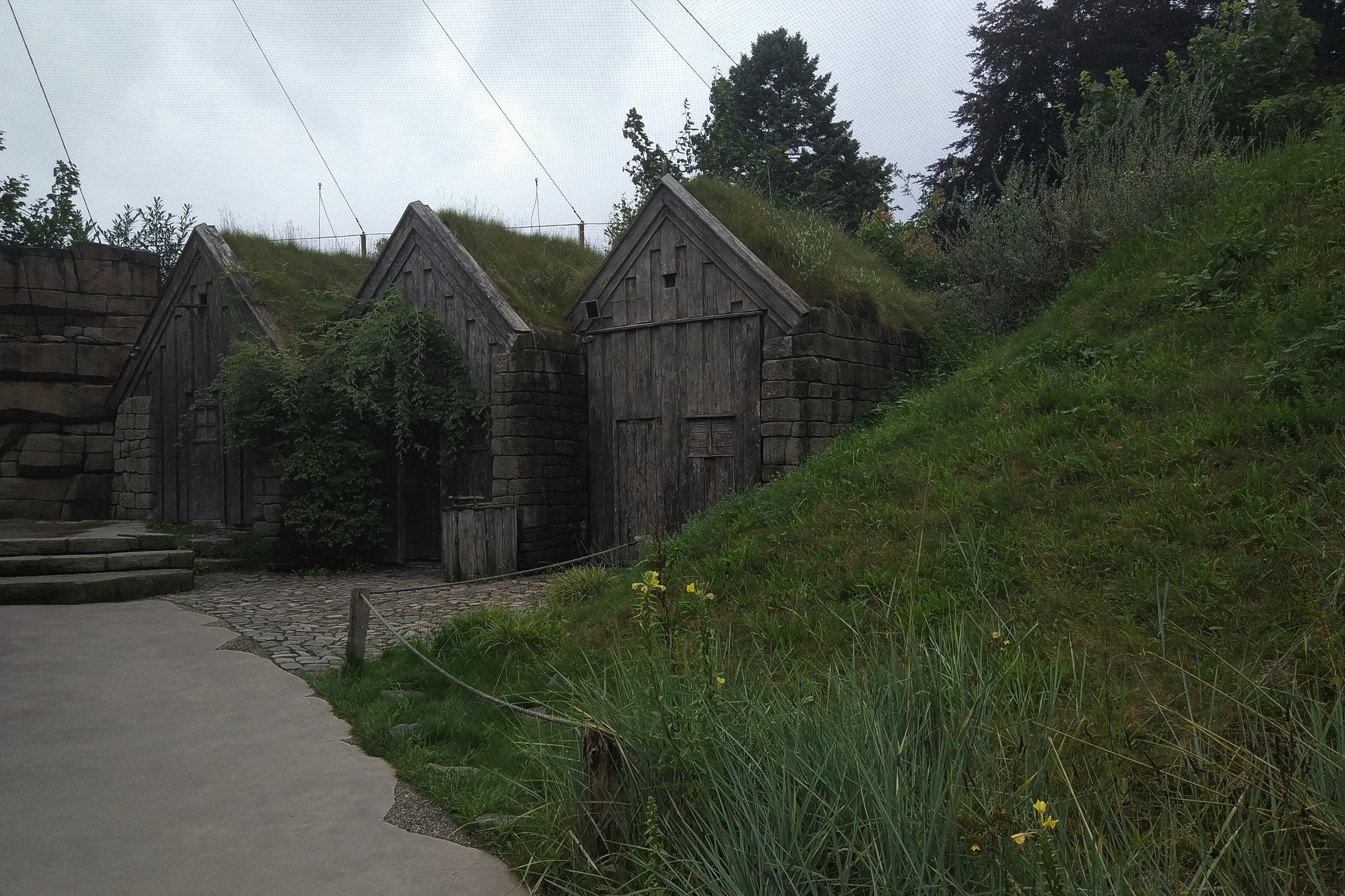 Seabird Aviary - Eismeer