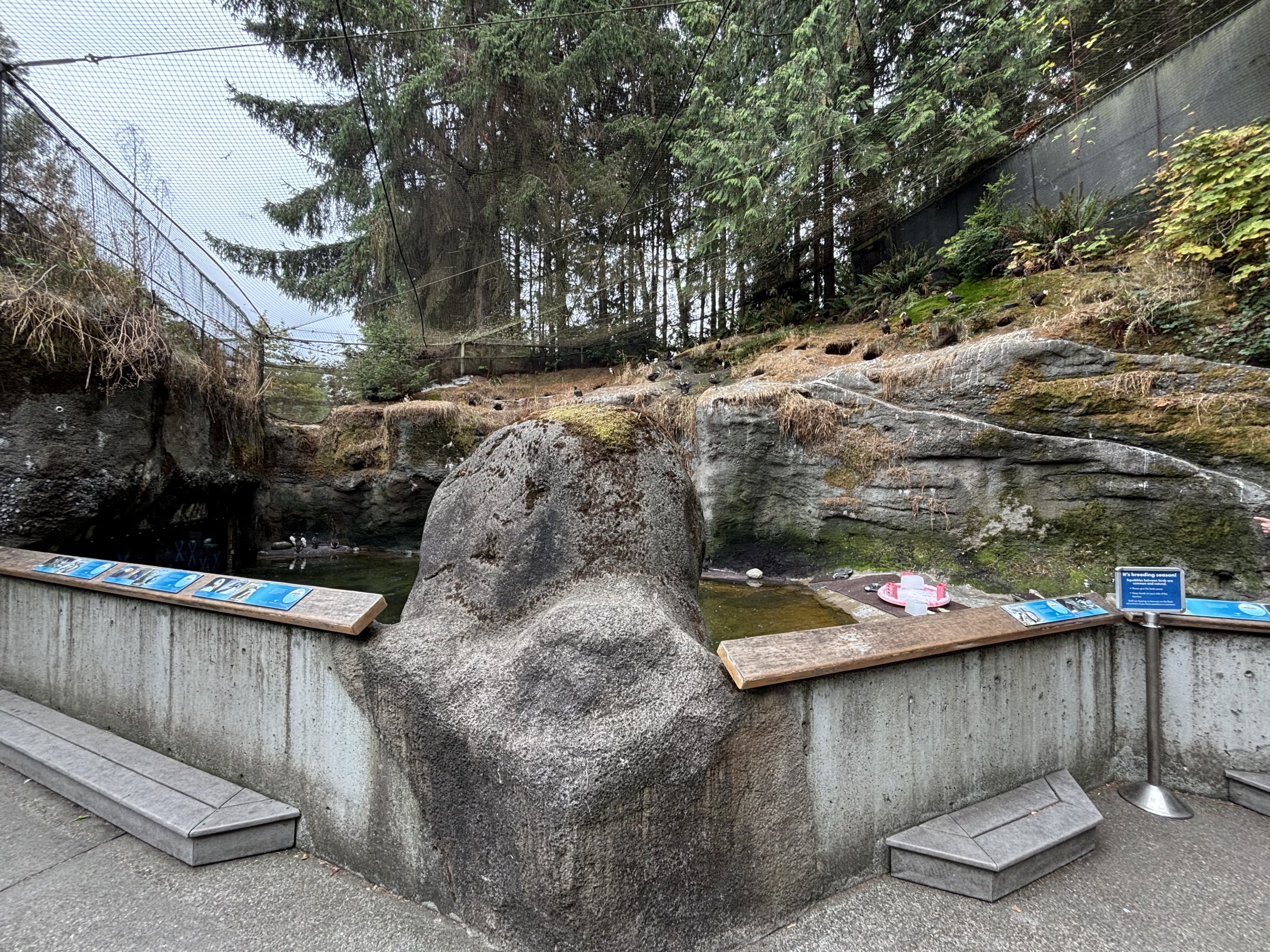 Seabird Aviary - Rocky Shores