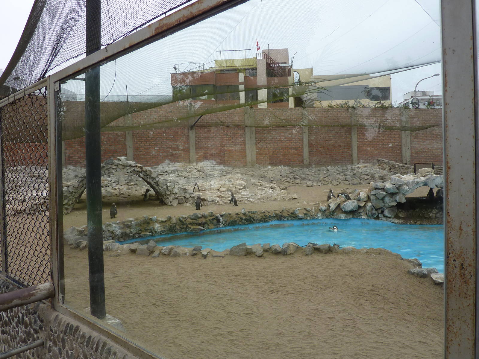 Seabird aviary