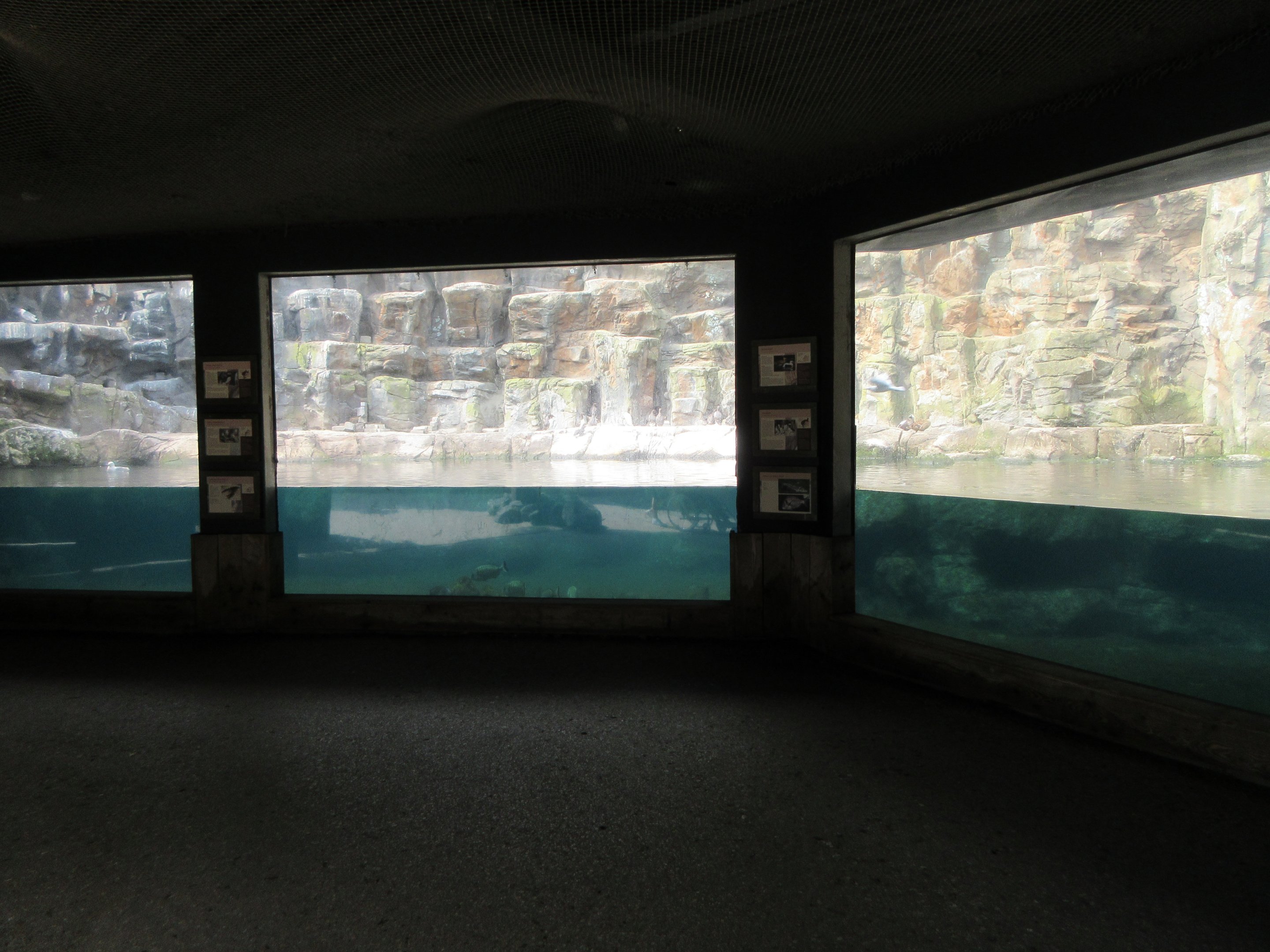 Seabird Aviary