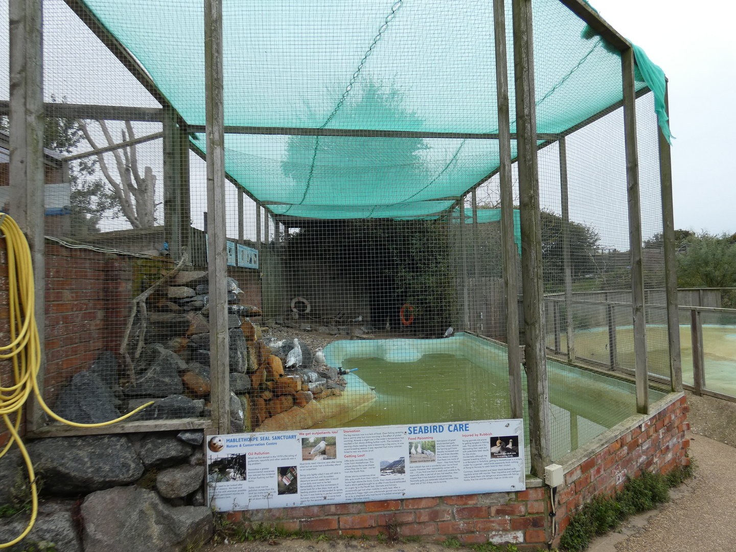 Seabird aviary