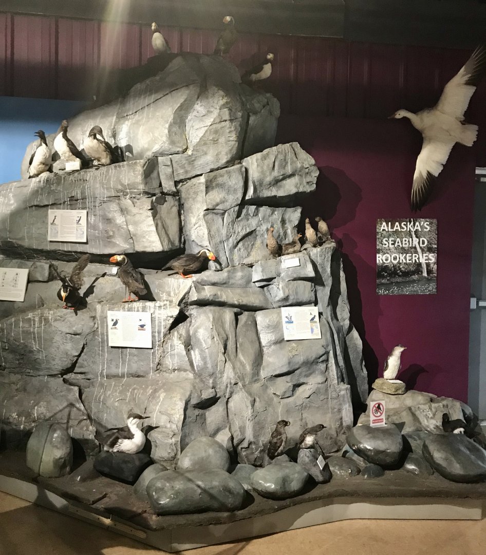 Seabird Exhibit