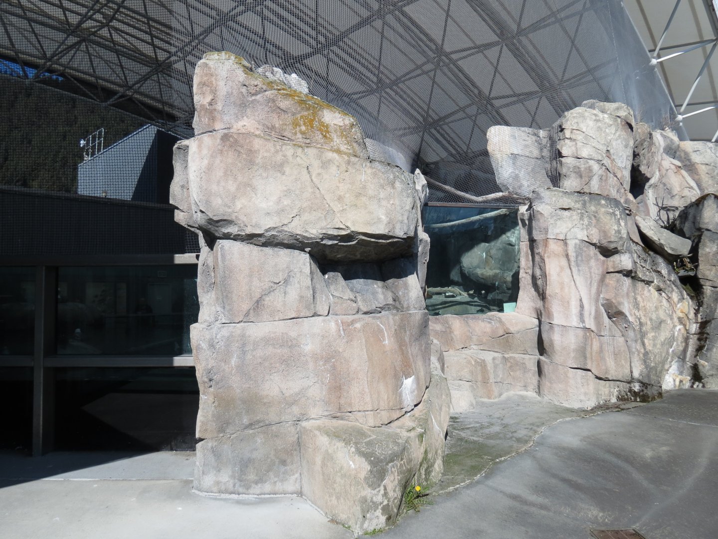 Seabird Habitat - Exterior Viewing Area