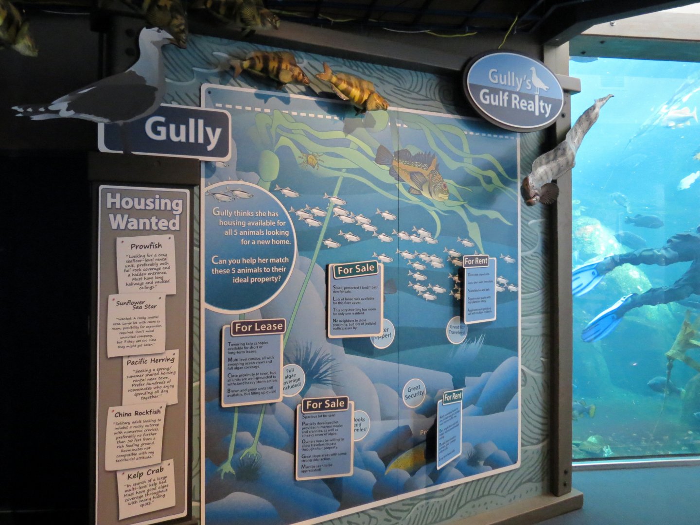 Seabird Habitat - Underwater Viewing Area Graphics