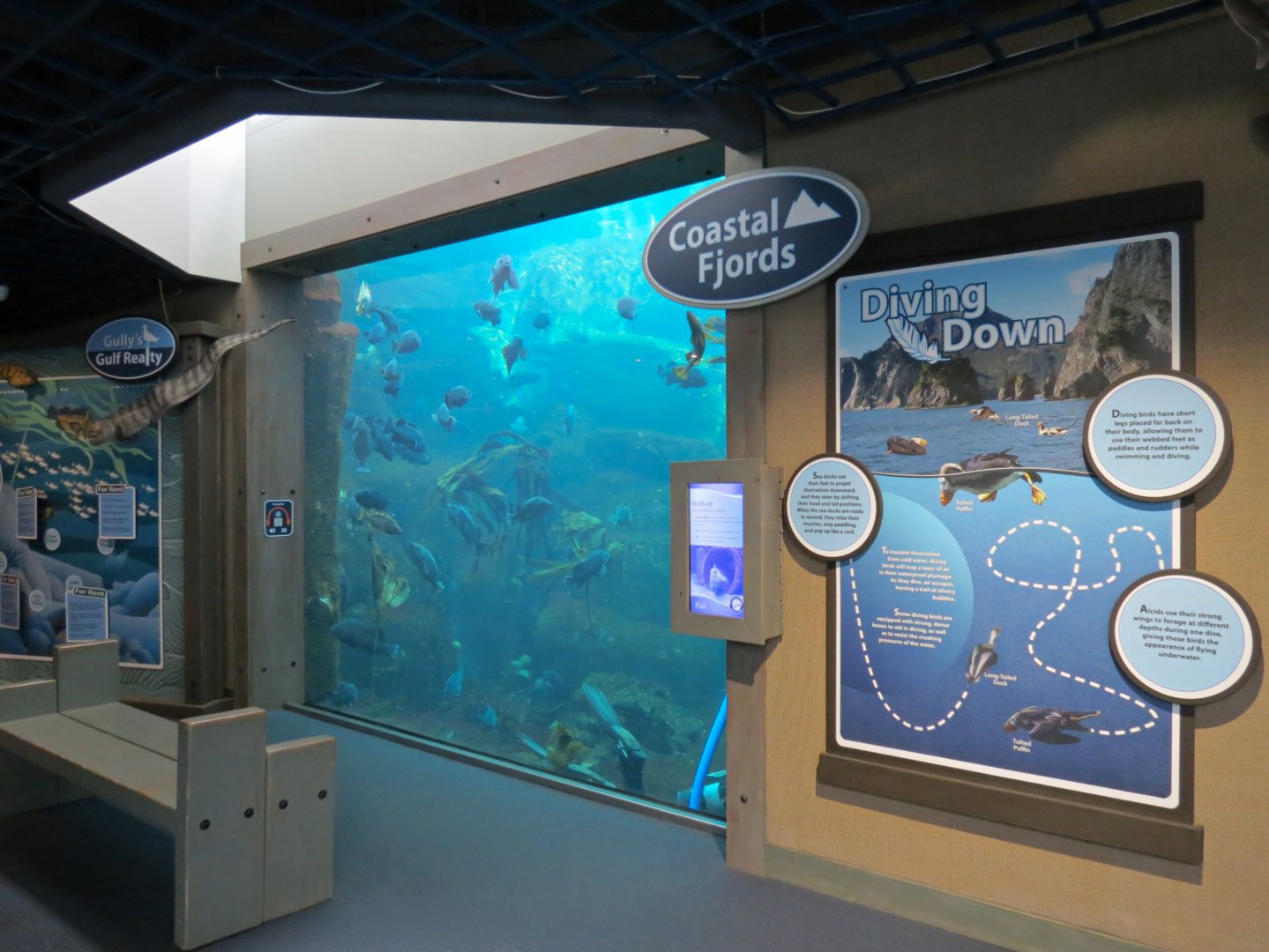 Seabird Habitat - Underwater Viewing Area