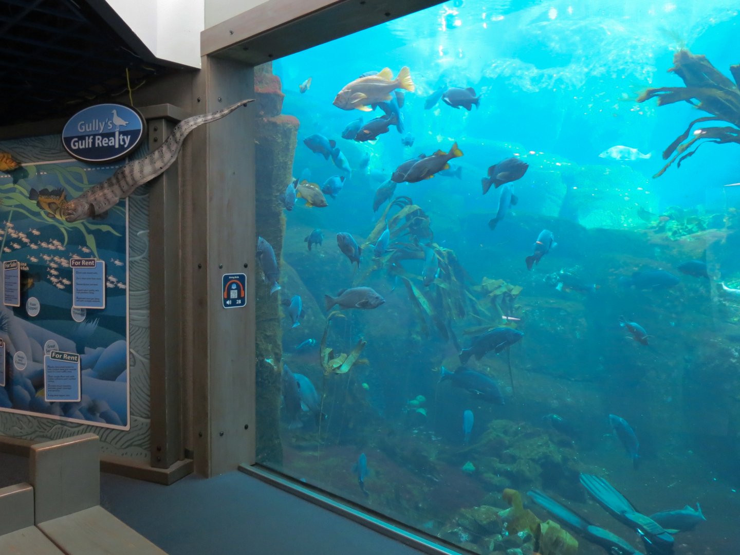 Seabird Habitat - Underwater Viewing Area