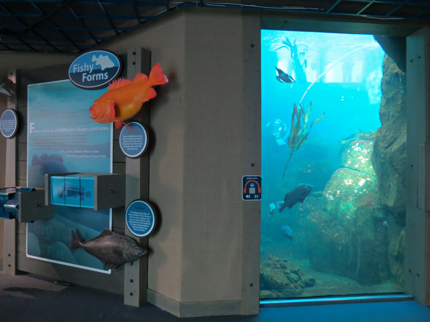 Seabird Habitat - Underwater Viewing Area