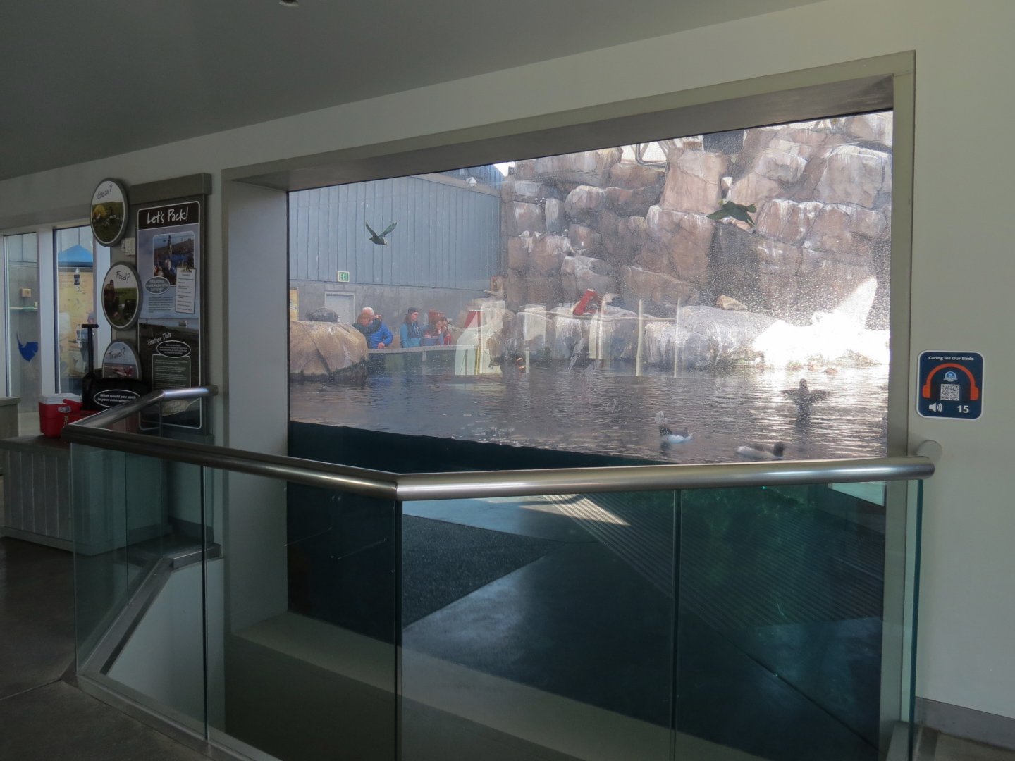Seabird Habitat - Viewing Window in Rocky Coast Gallery