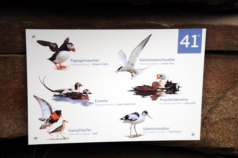 Seabird-sign at Hamburg