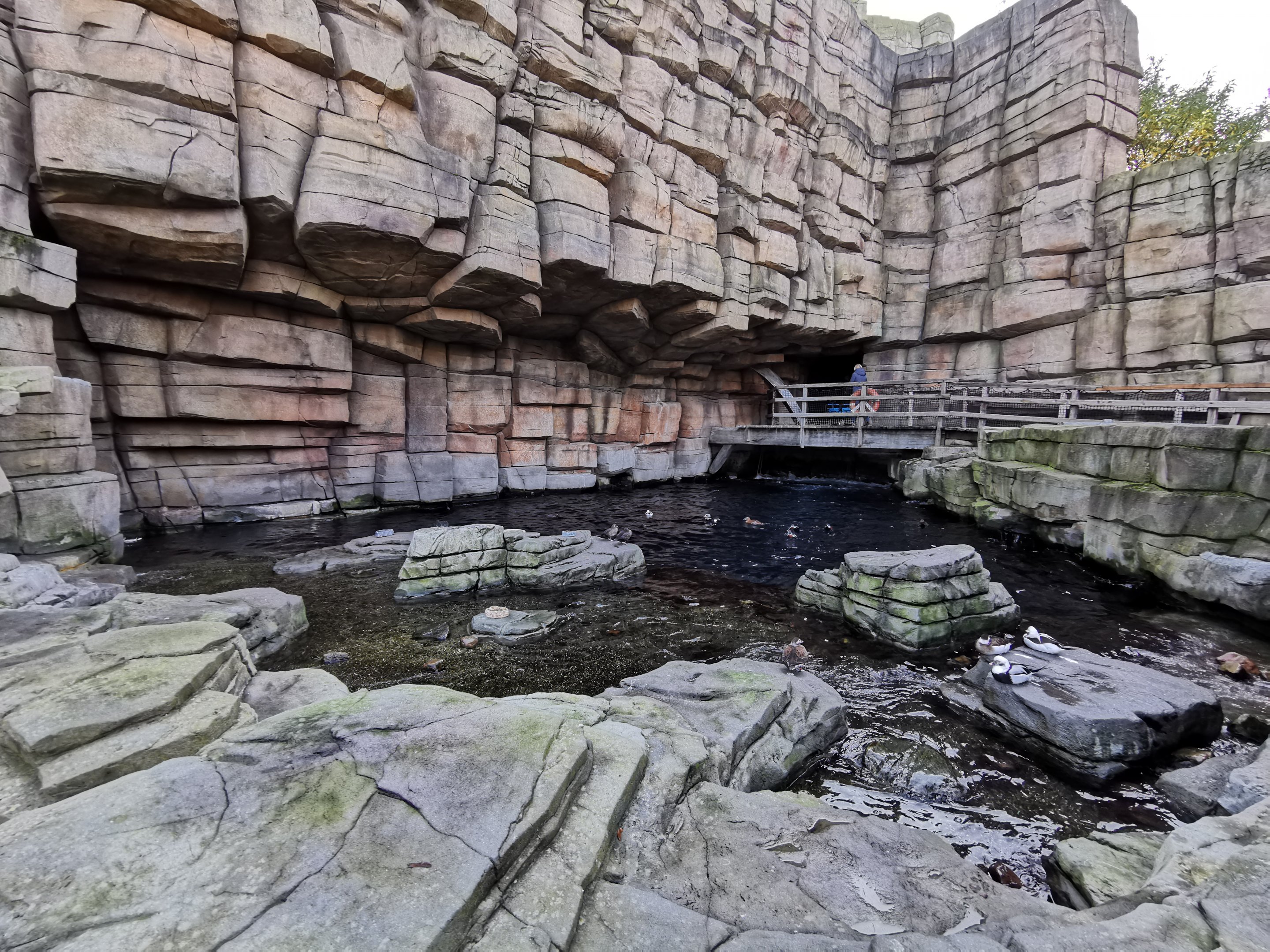 Seabird Walk-through aviary, Eismeer - Tierpark Hagenbeck