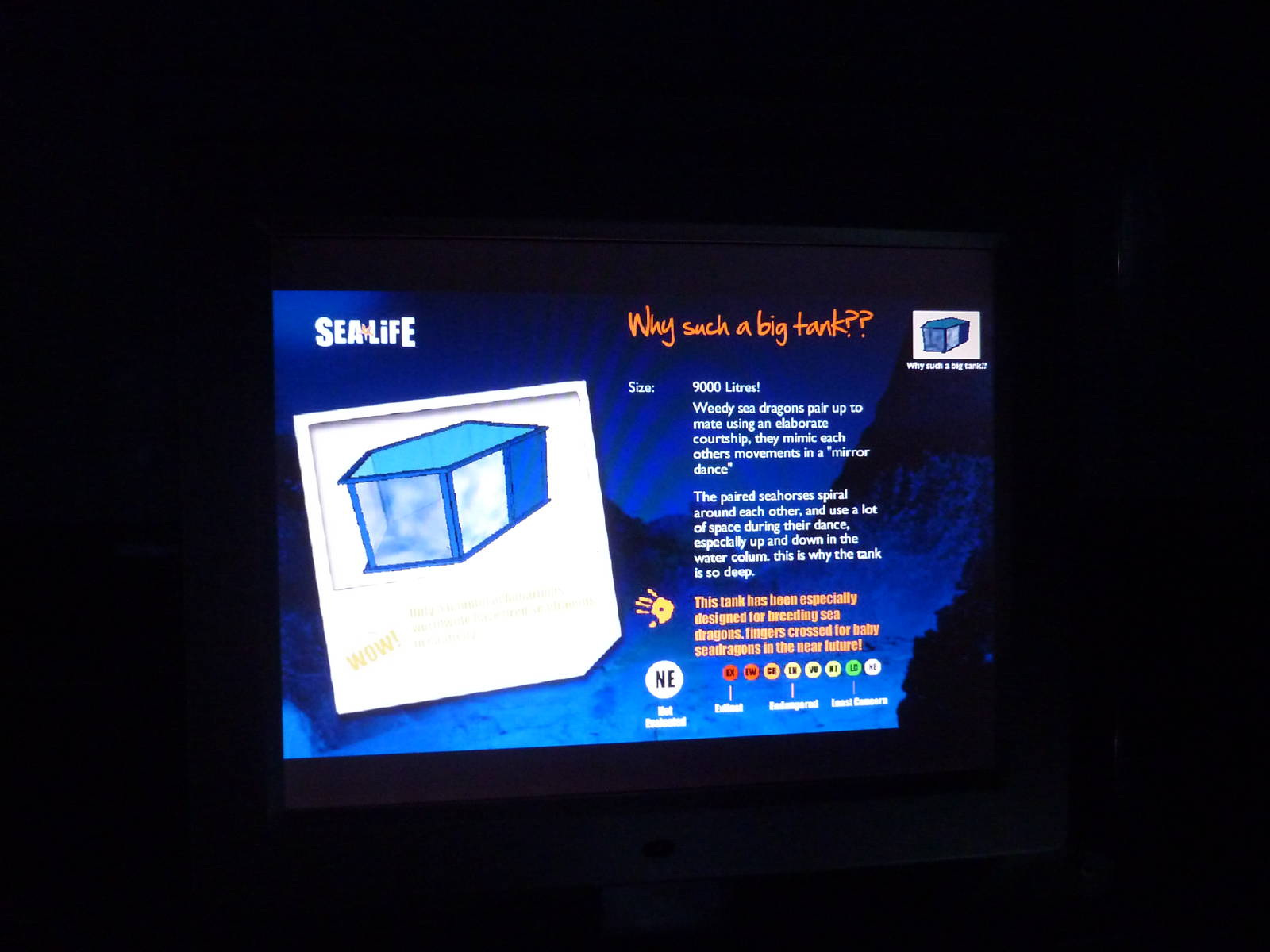 Seadragon breeding tank sign, 8th Feb 2012