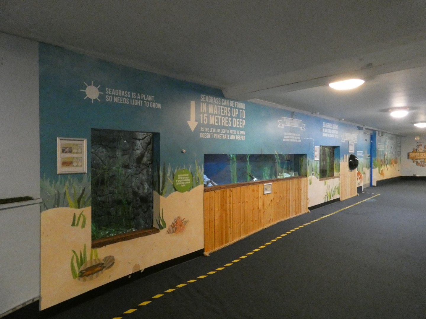 Seagrass Shores exhibit