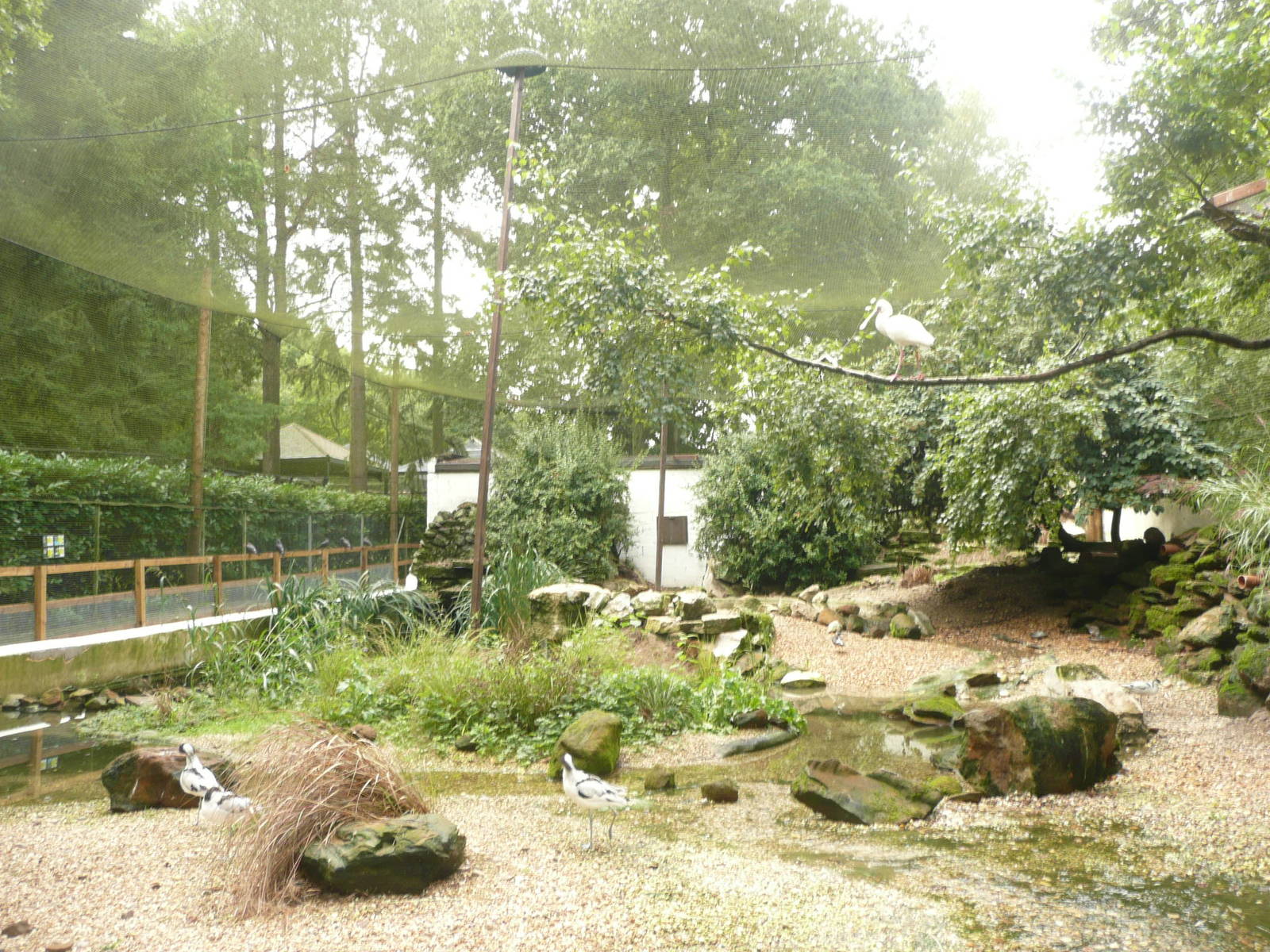 Seahore Walk , remodelled