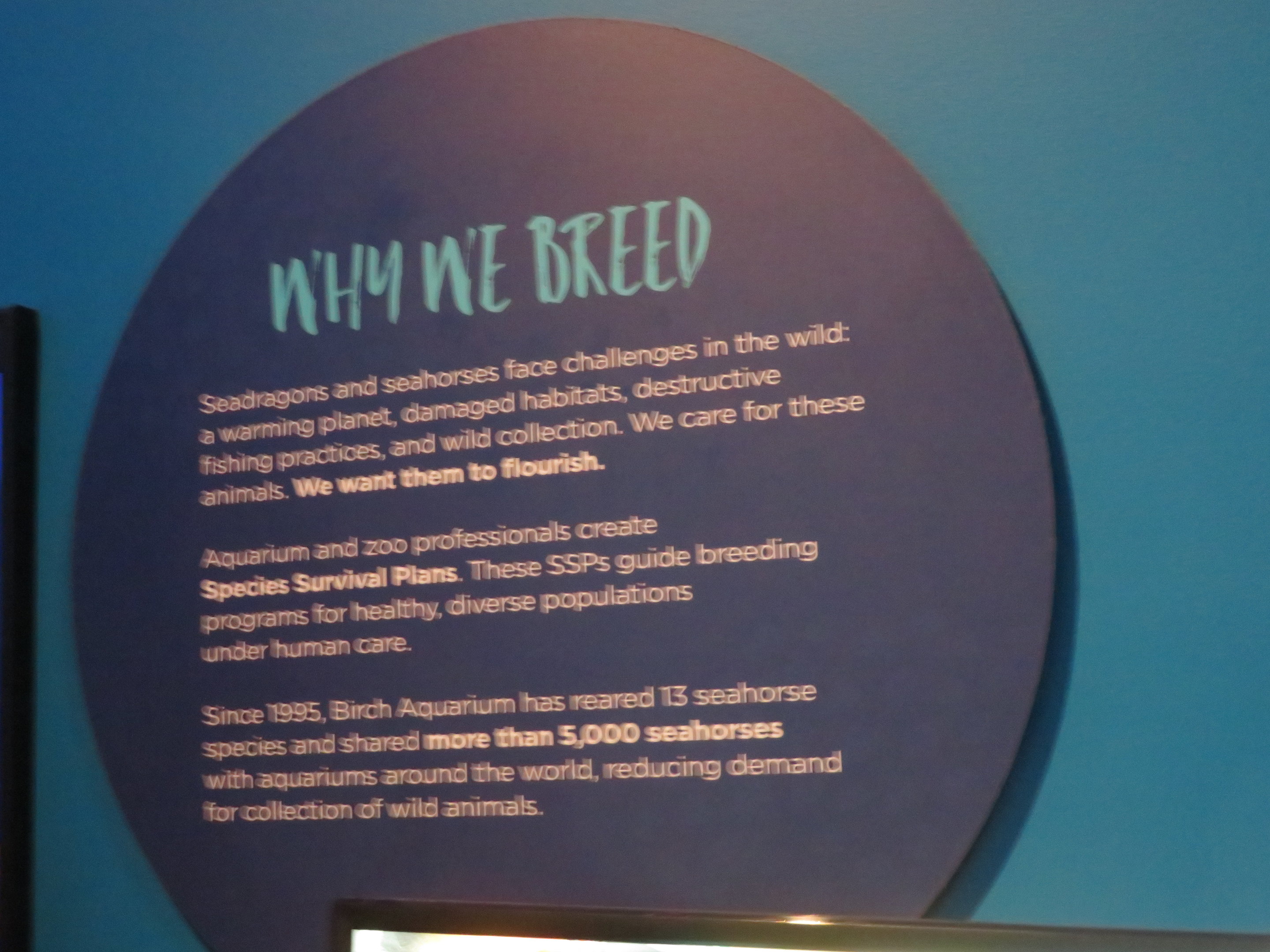 Seahorse Breeding Signage