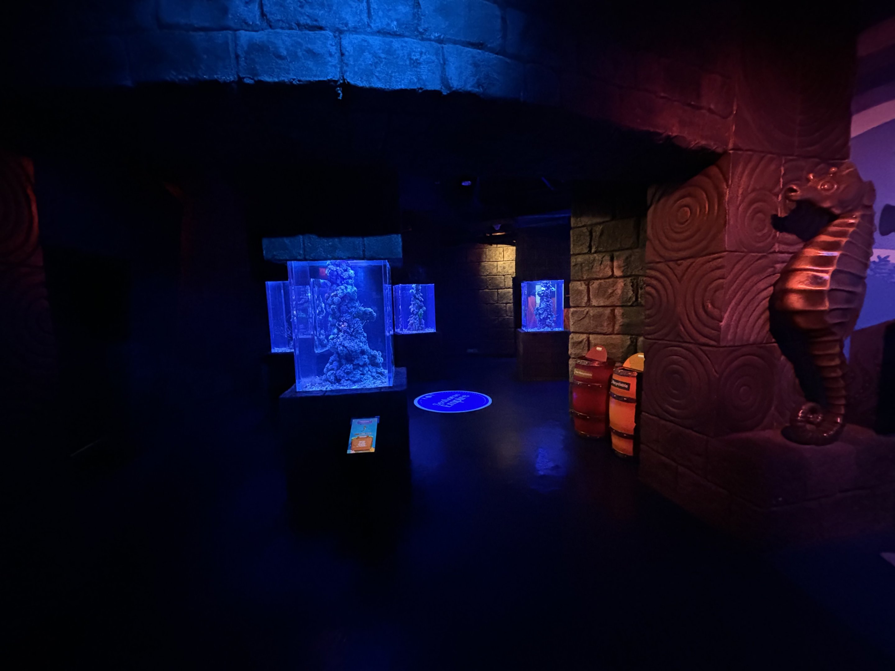 Seahorse Empire - BXSea Aquarium