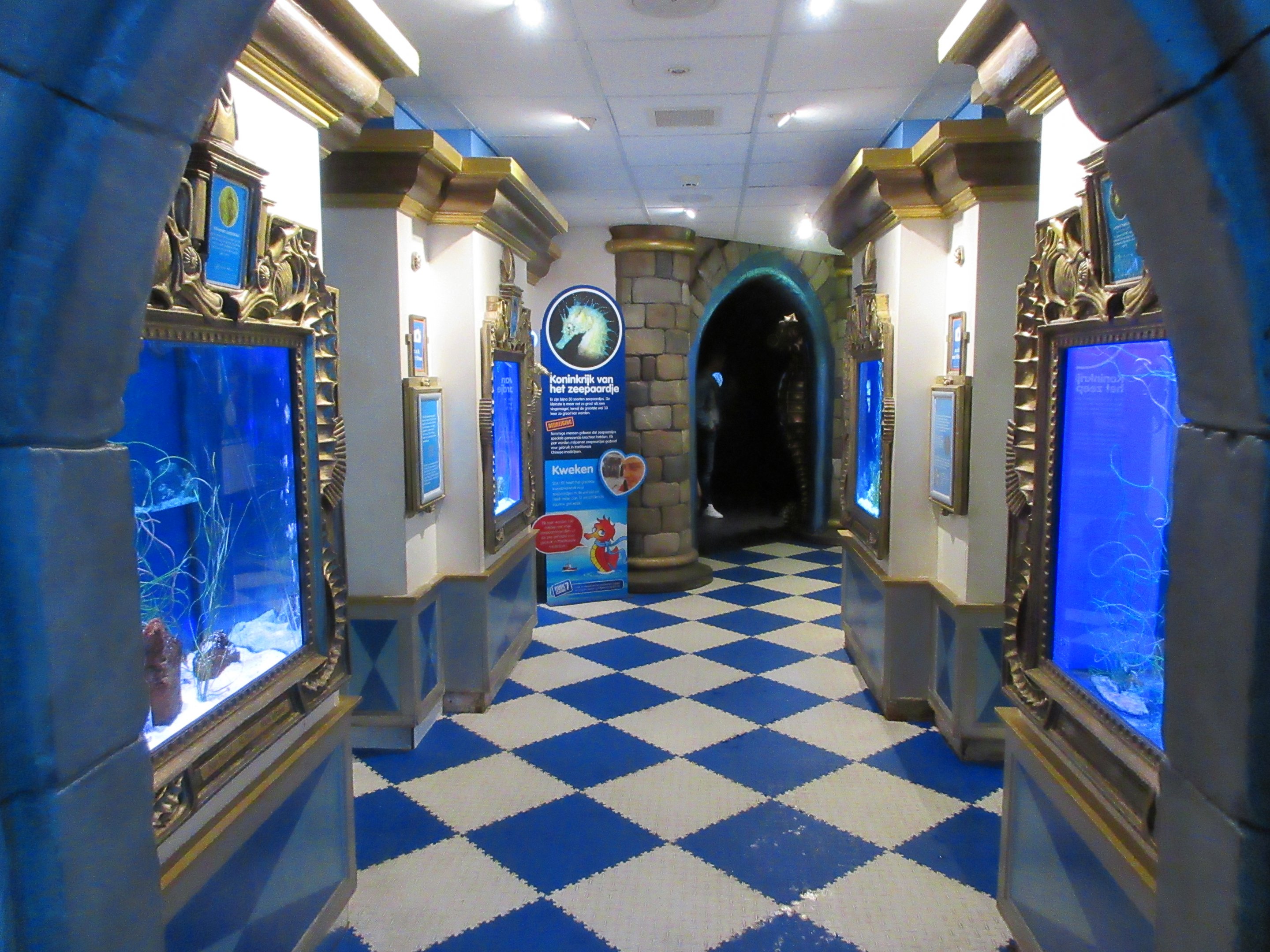 Seahorse Hallway (4 exhibits)