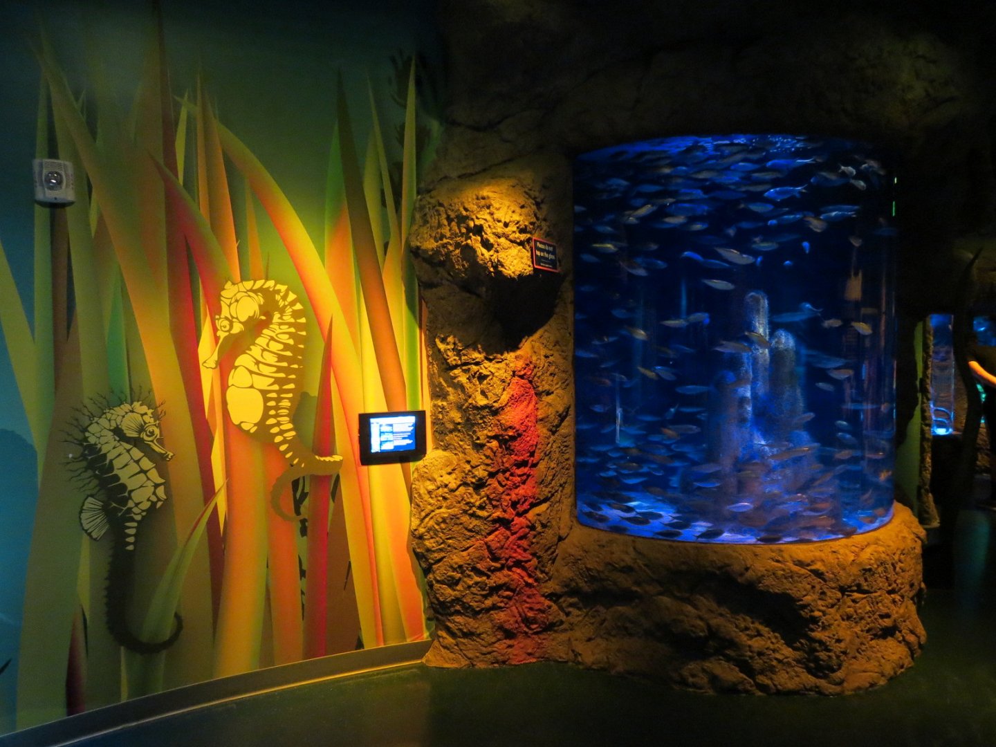 Seahorse Hideaway Exhibits