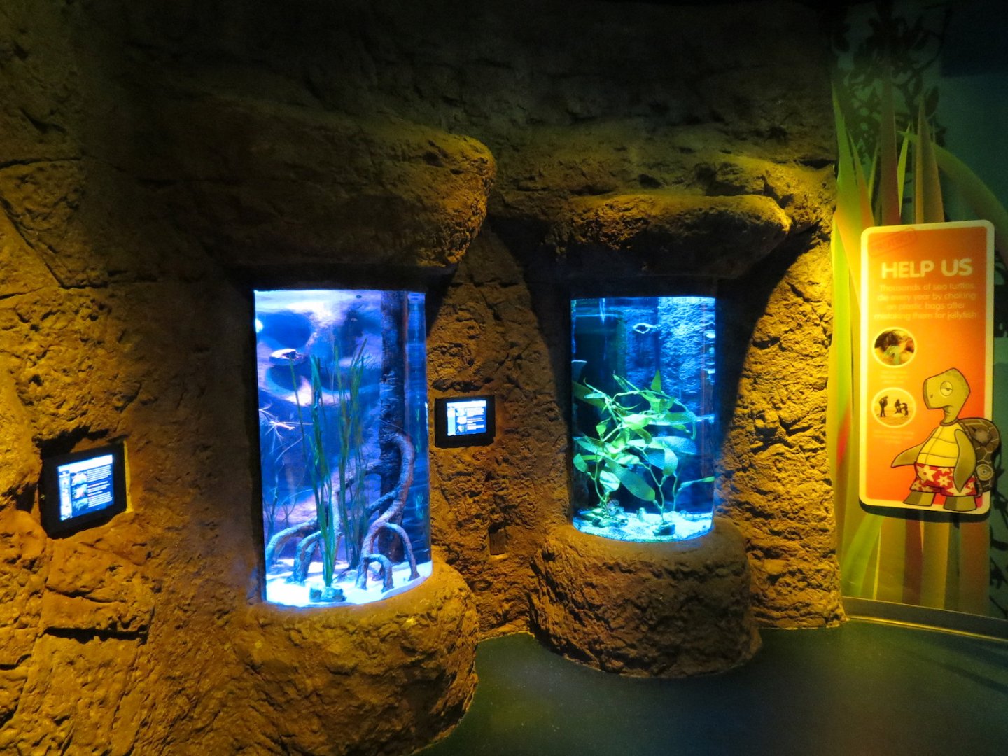 Seahorse Hideaway Exhibits