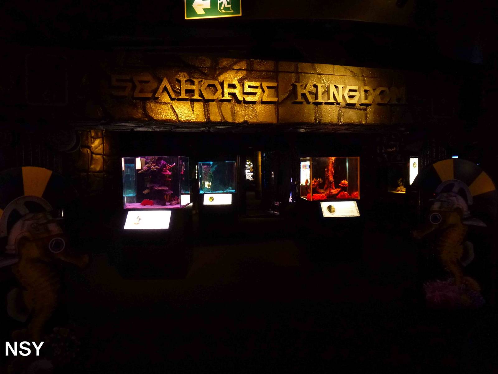 Seahorse Kingdom, June 2013.
