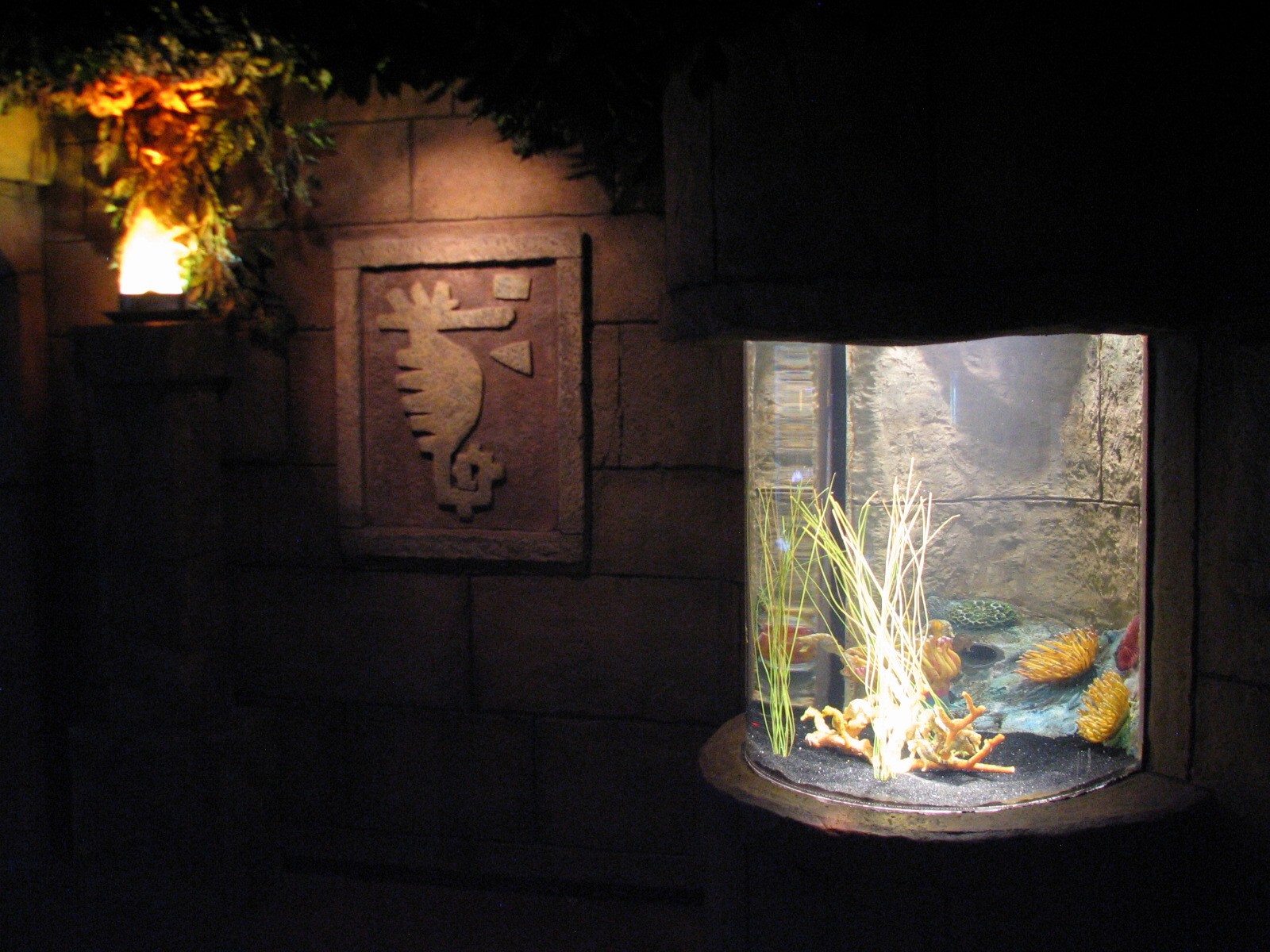 Seahorse Kingdom - Longsnout Sea Horse Exhibit