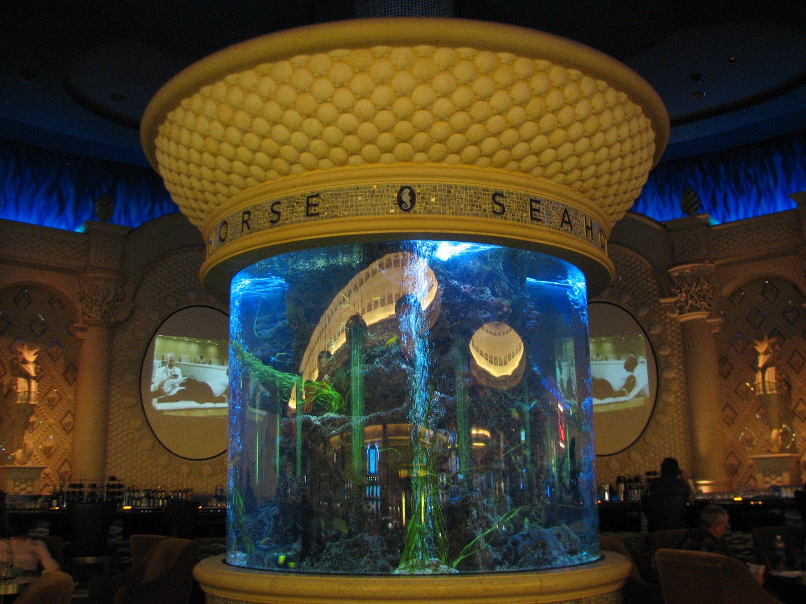 Seahorse Lounge Aquarium in Caesar's Palace Hotel Casino in Las Vegas