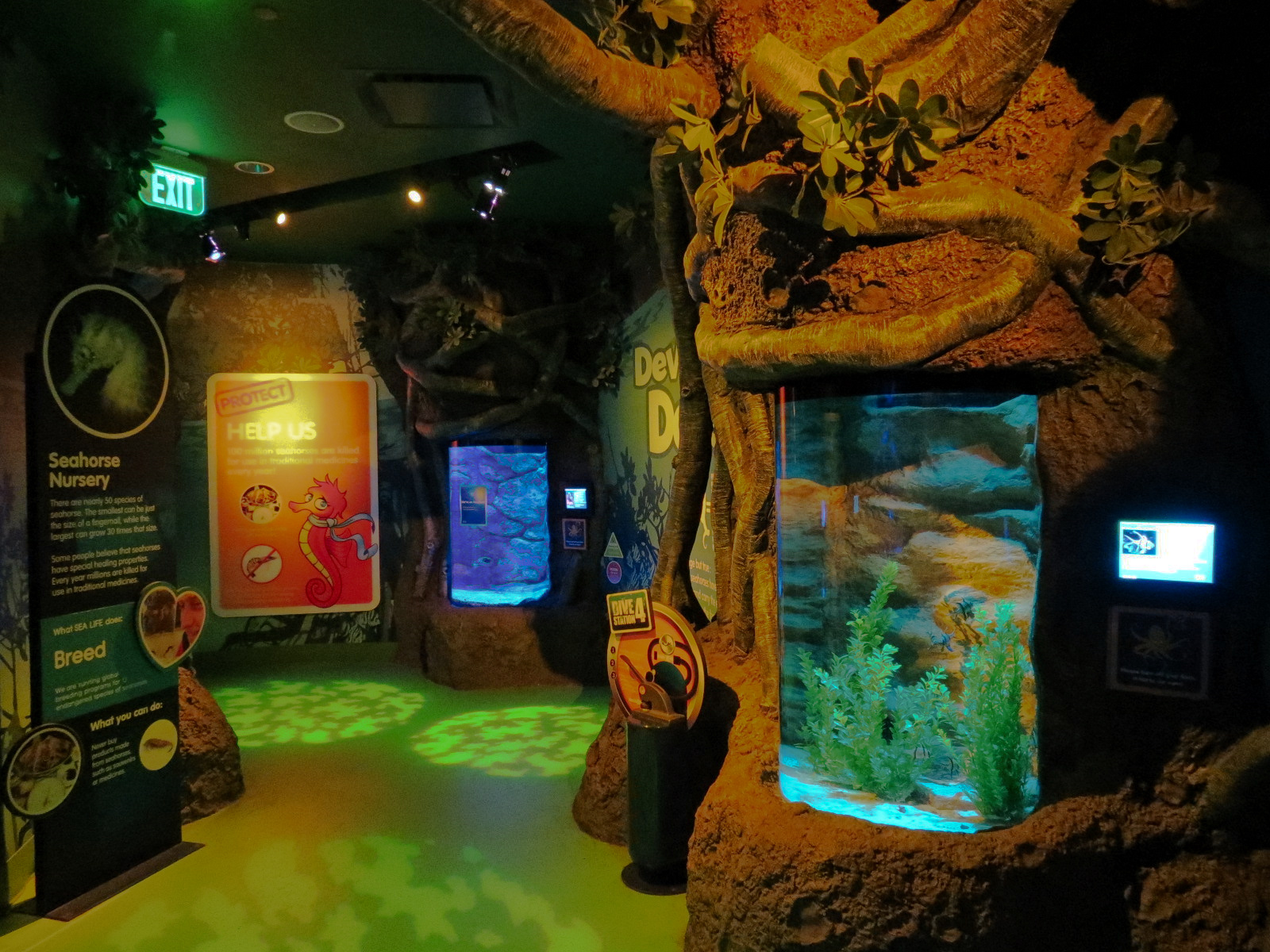 Seahorse Nursery Exhibits