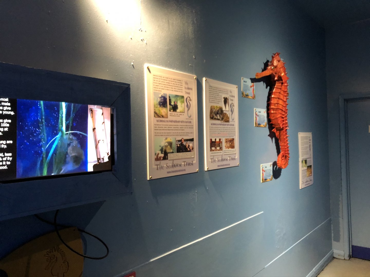 Seahorse Signage at Tynemouth Aquarium (2019)