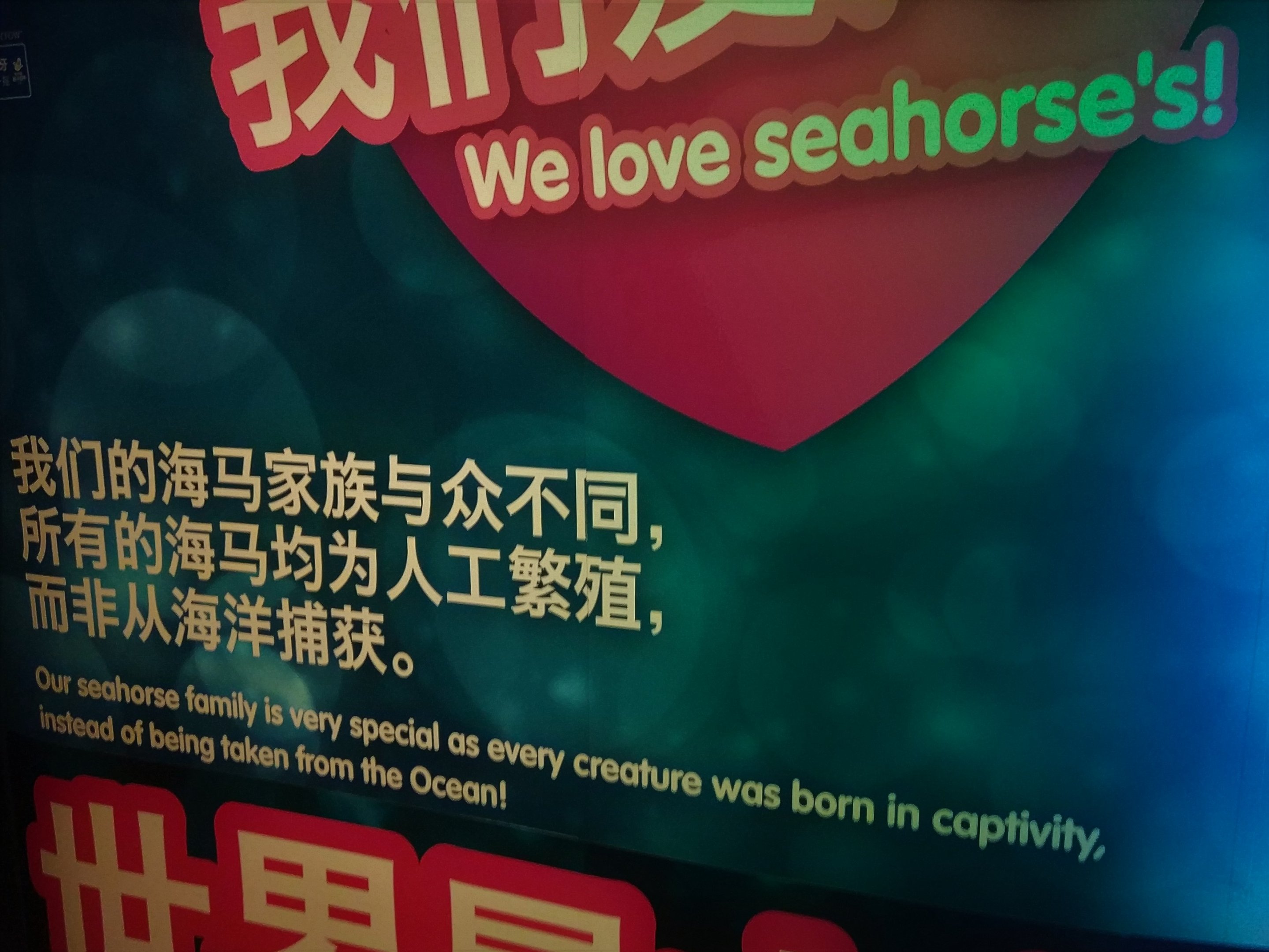 Seahorse Signage