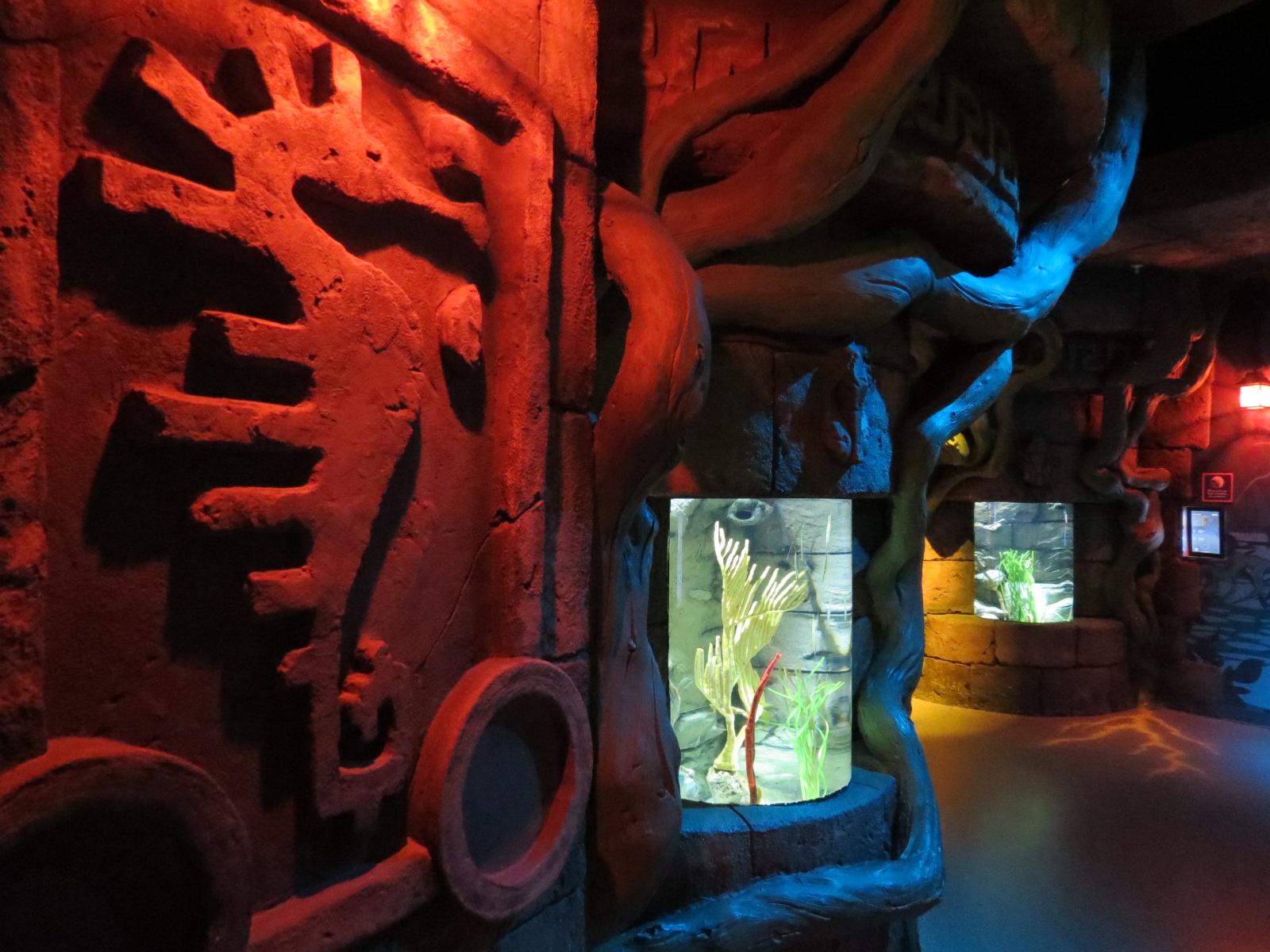 Seahorse Temple - First Tank