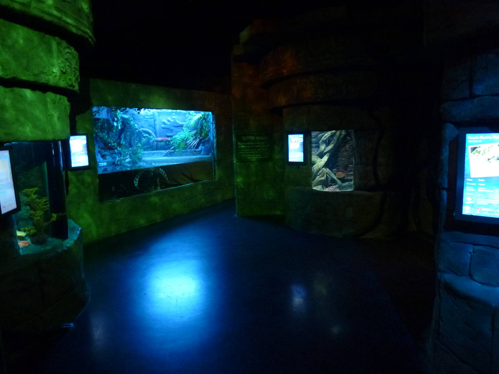 Seahorse temple, November 2013.