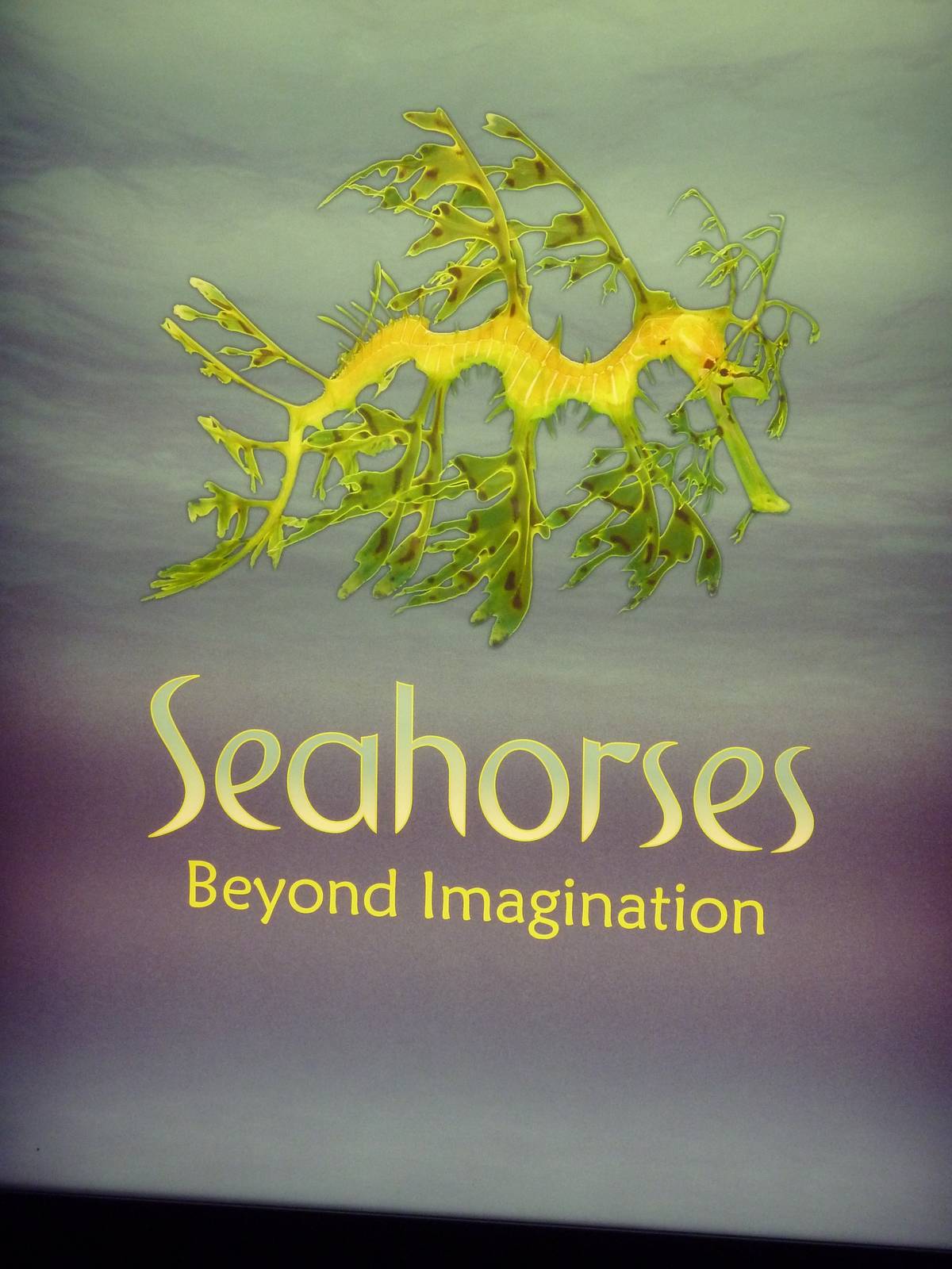 Seahorses - Entrance Sign