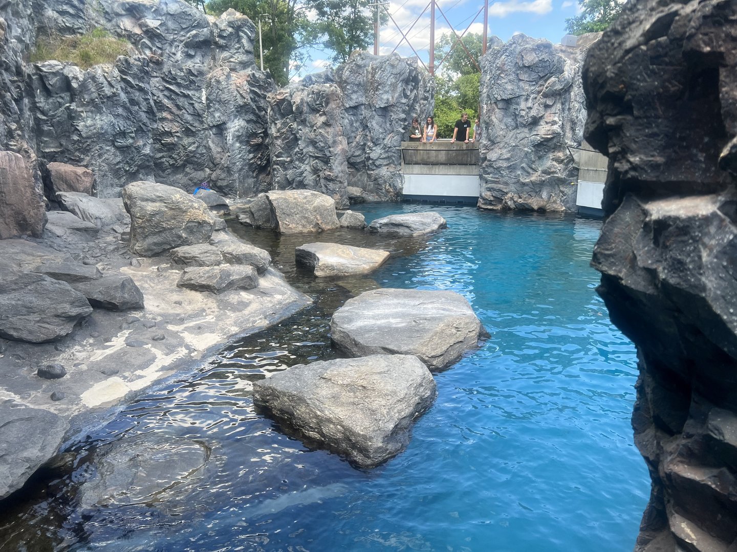 Seal and Fur Seal Exhibit