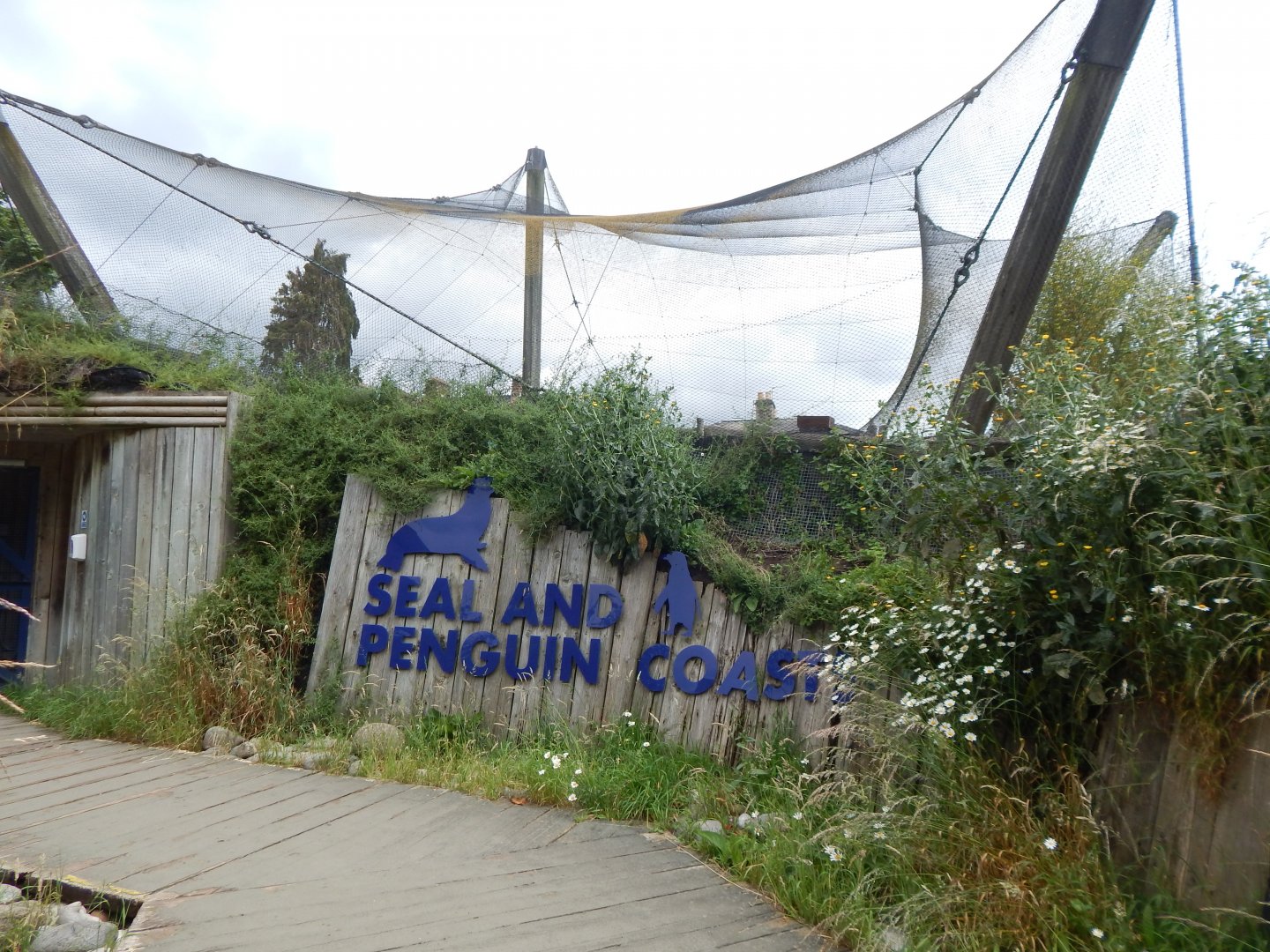 Seal and Penguin Coast 190622