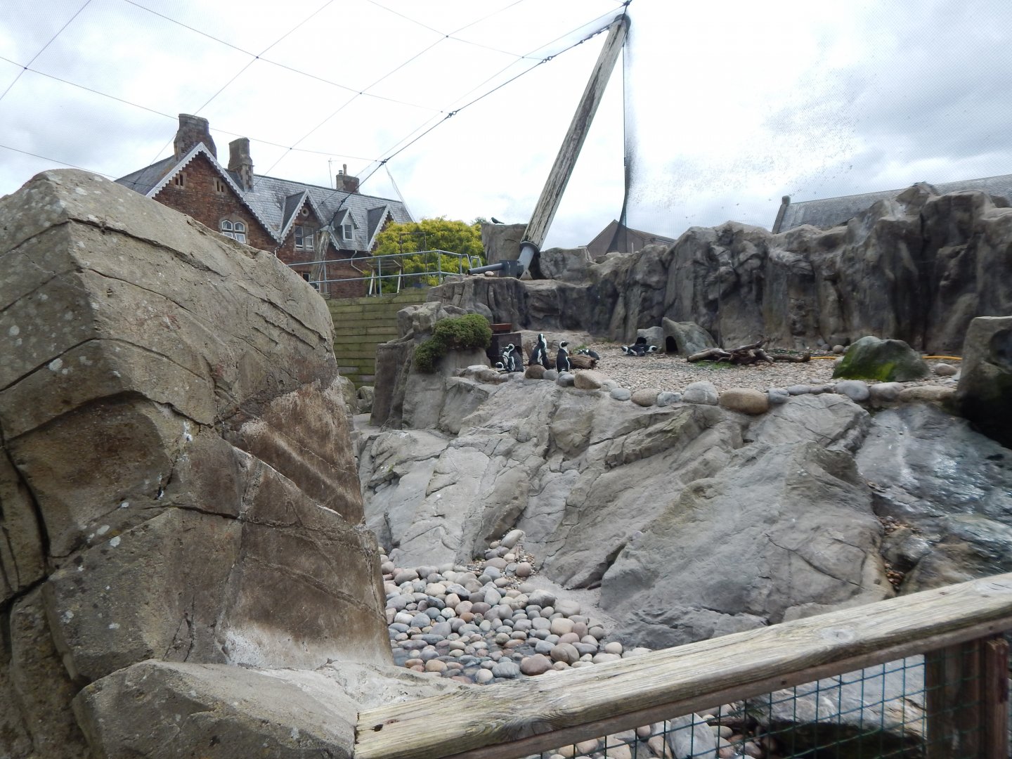 Seal and Penguin Coast 190622