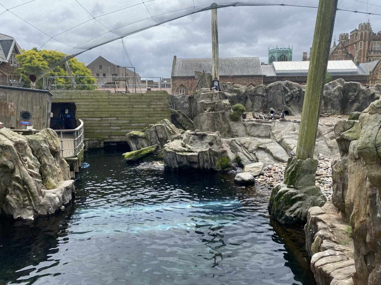 Seal and Penguin Coast 190622