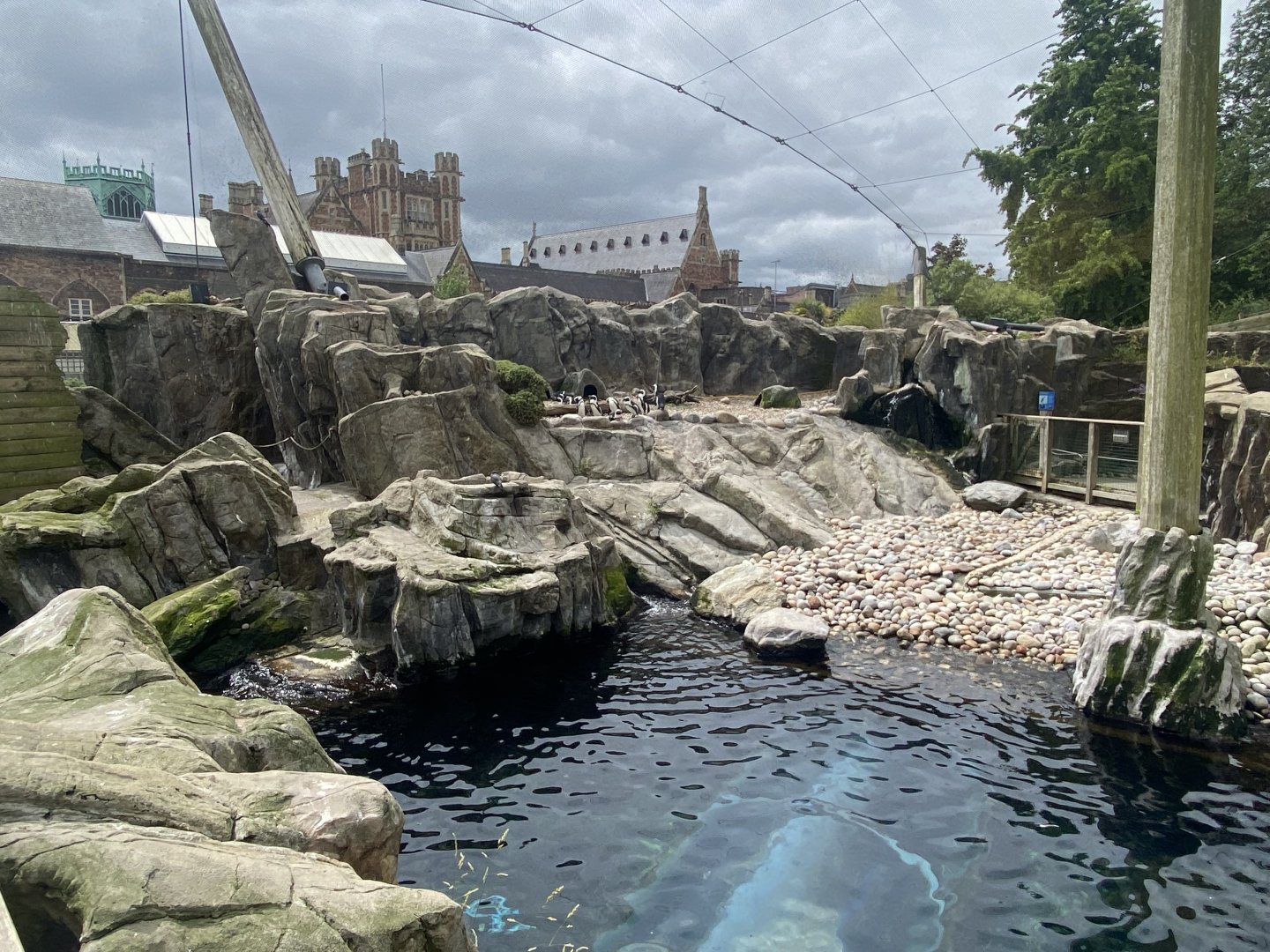 Seal and Penguin Coast 190622