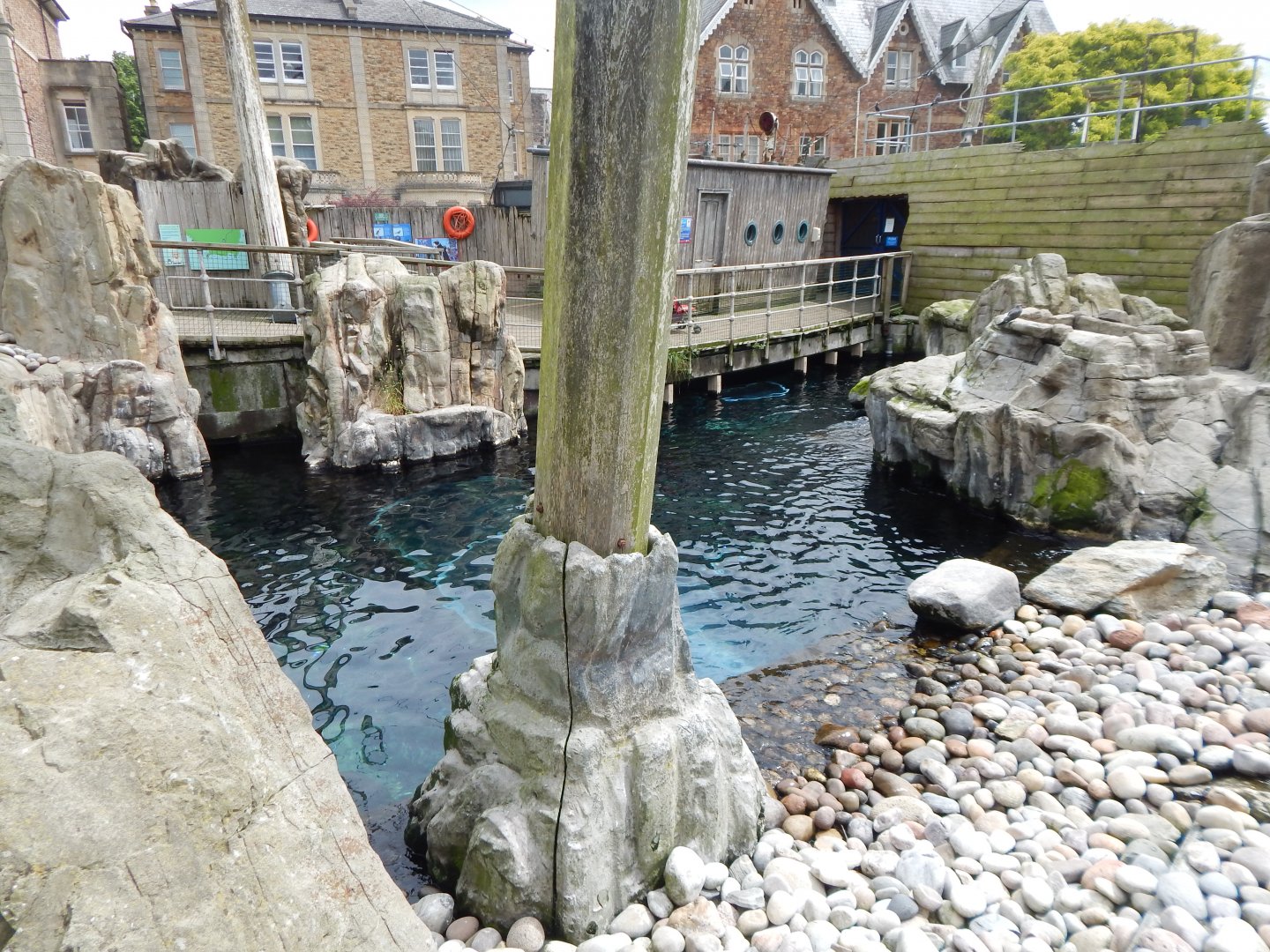 Seal and Penguin Coast 190622