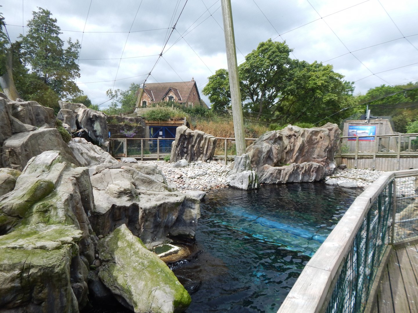 Seal and Penguin Coast 190622