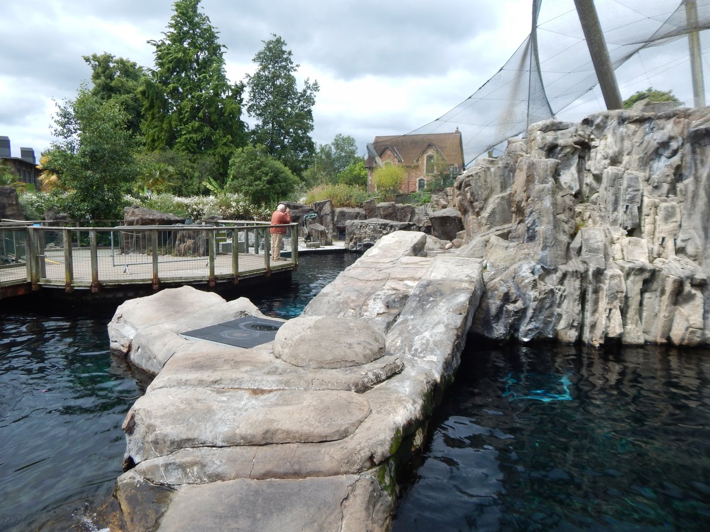 Seal and Penguin Coast 190622