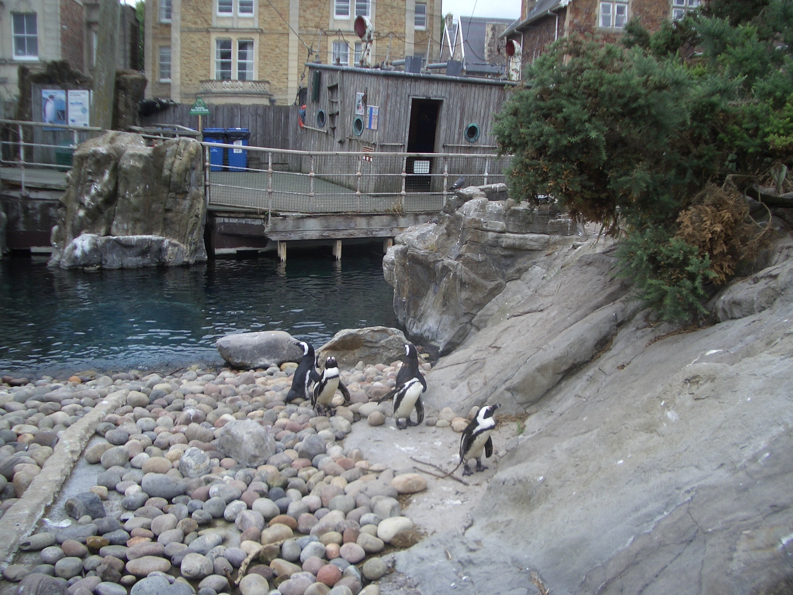 Seal and Penguin Coasts - 24.07.2010