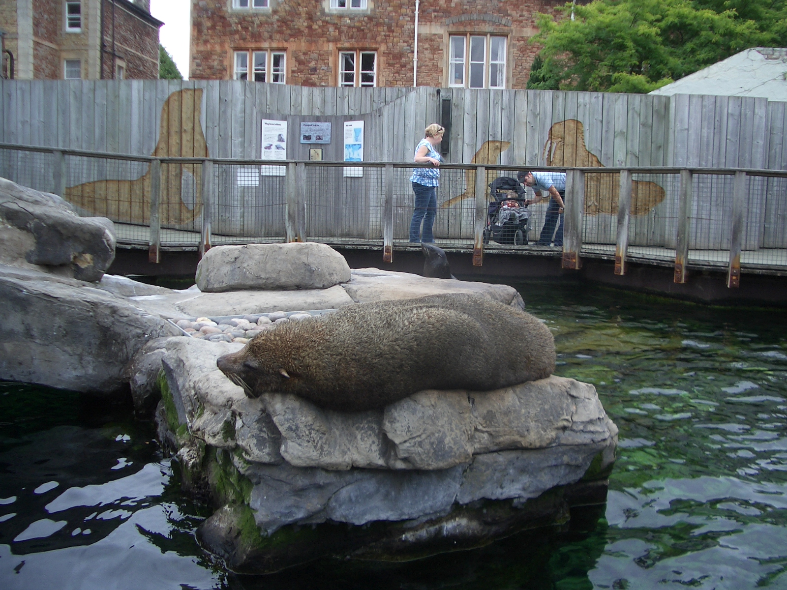 Seal and Penguin Coasts - 24.07.2010