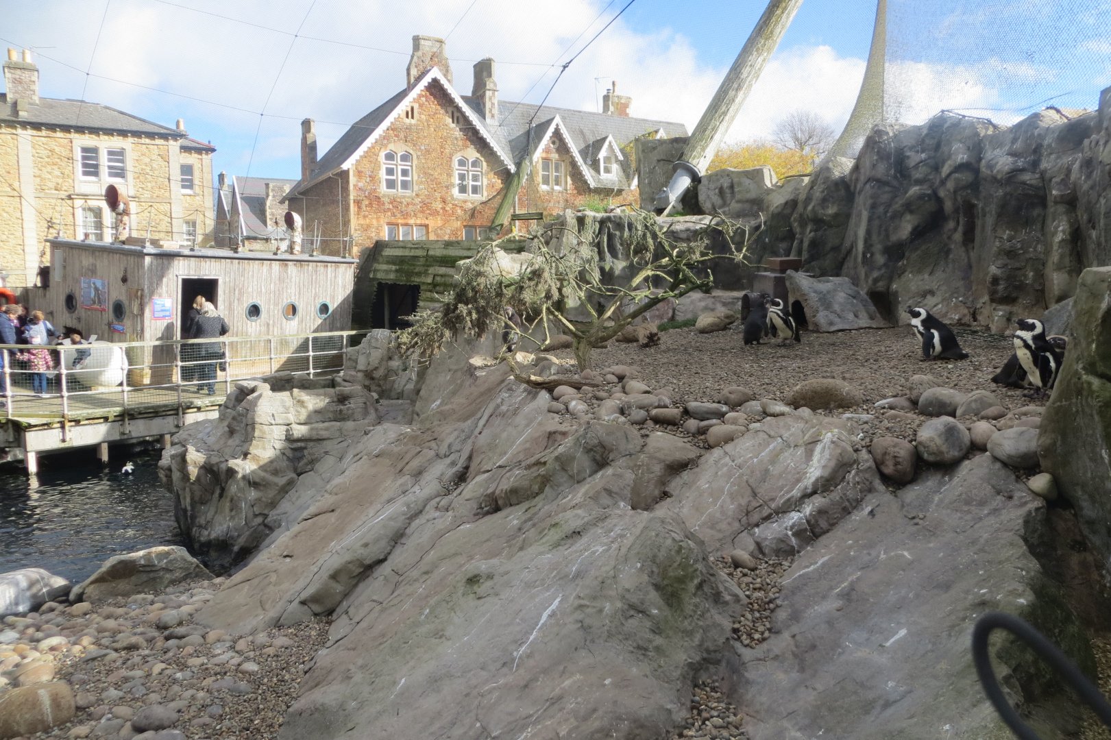 Seal and Penguin Coasts 261018