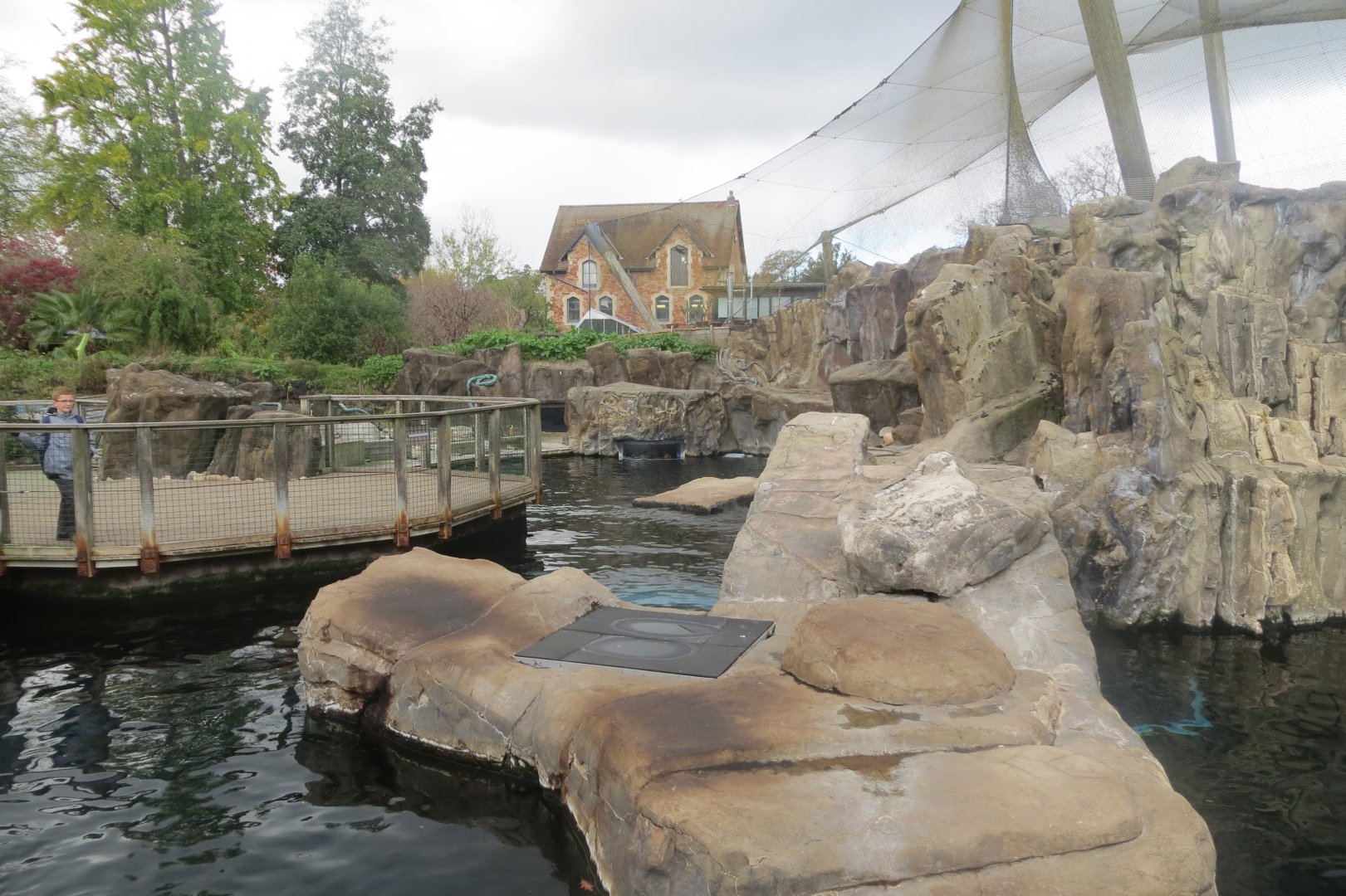 Seal and Penguin Coasts 261018