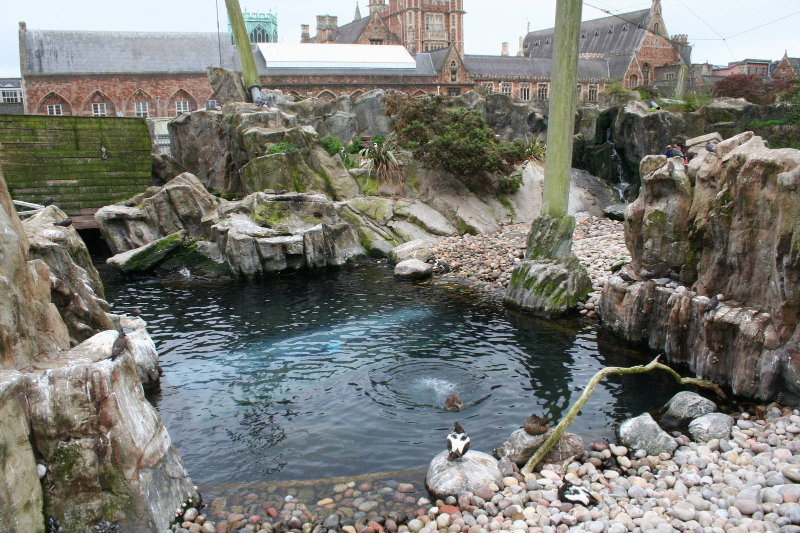 Seal and Penguin coasts