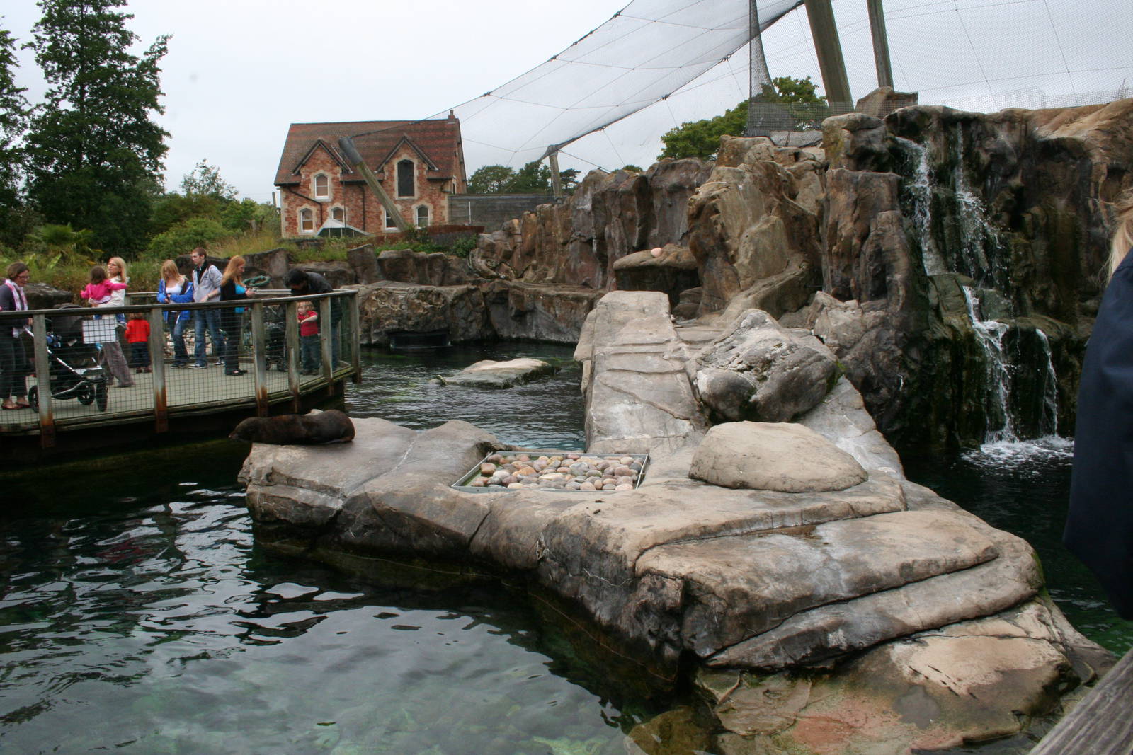 Seal and Penguin coasts