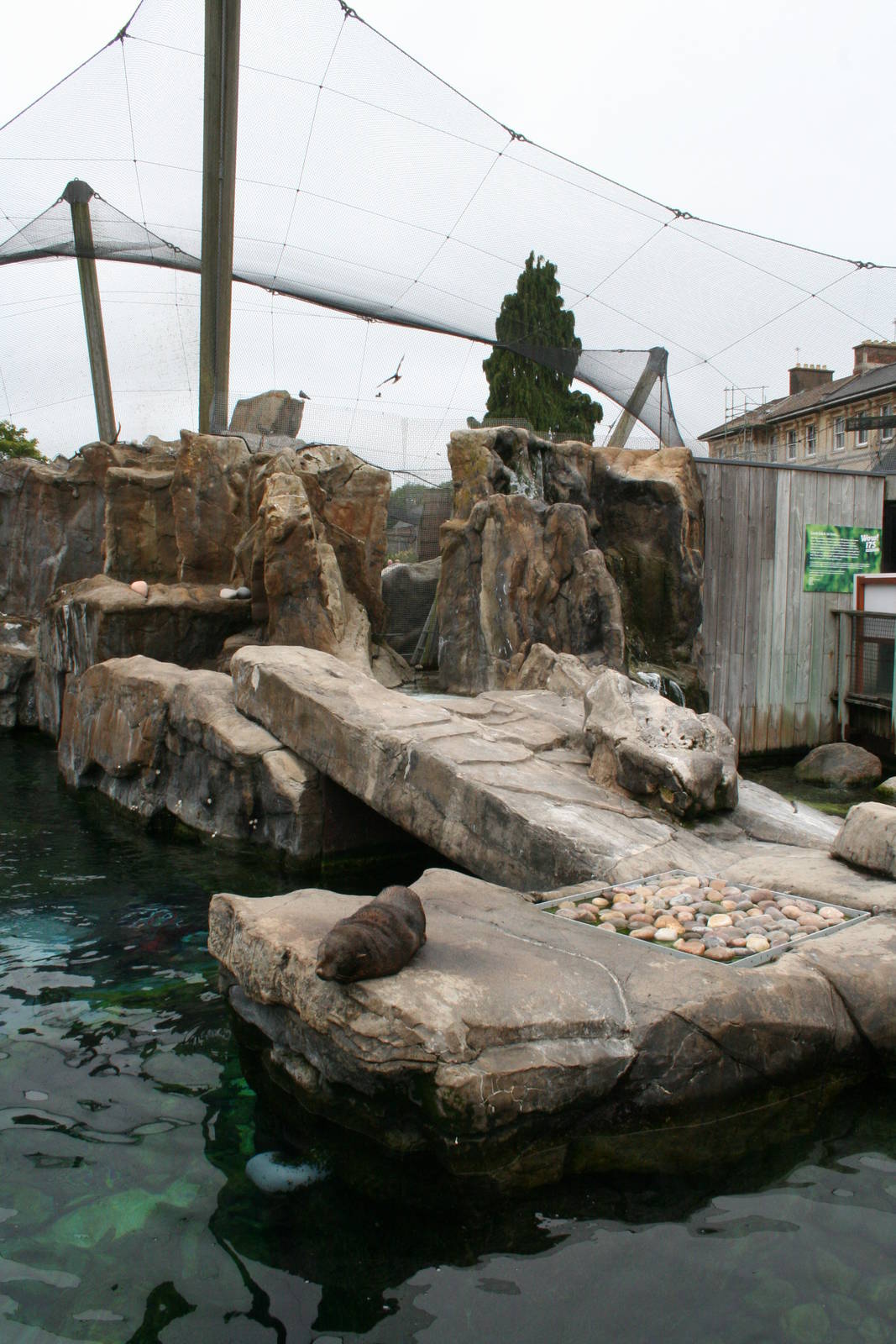 Seal and Penguin coasts